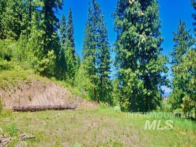 Tbd Ridgeview Pl-lot 77 Property Photo 20