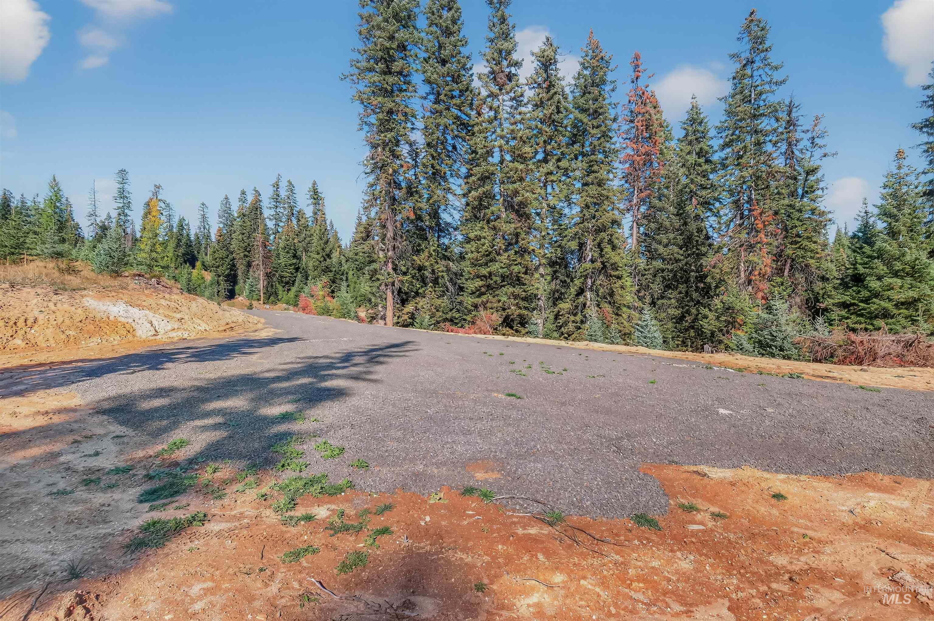 Tbd Parcel 5 Tree Farm Trails Road Property Photo 5