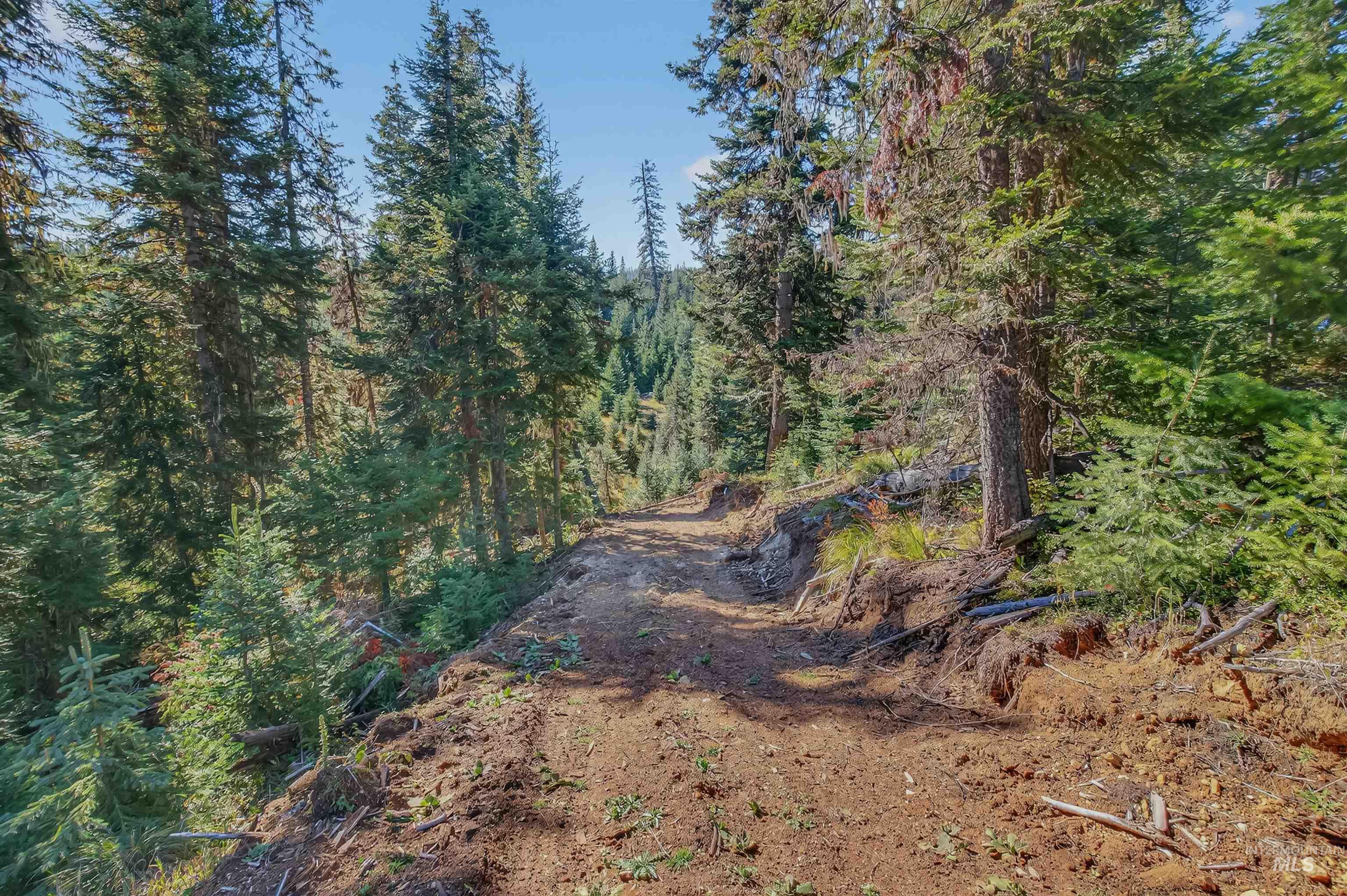 Tbd Parcel 5 Tree Farm Trails Road Property Photo 7
