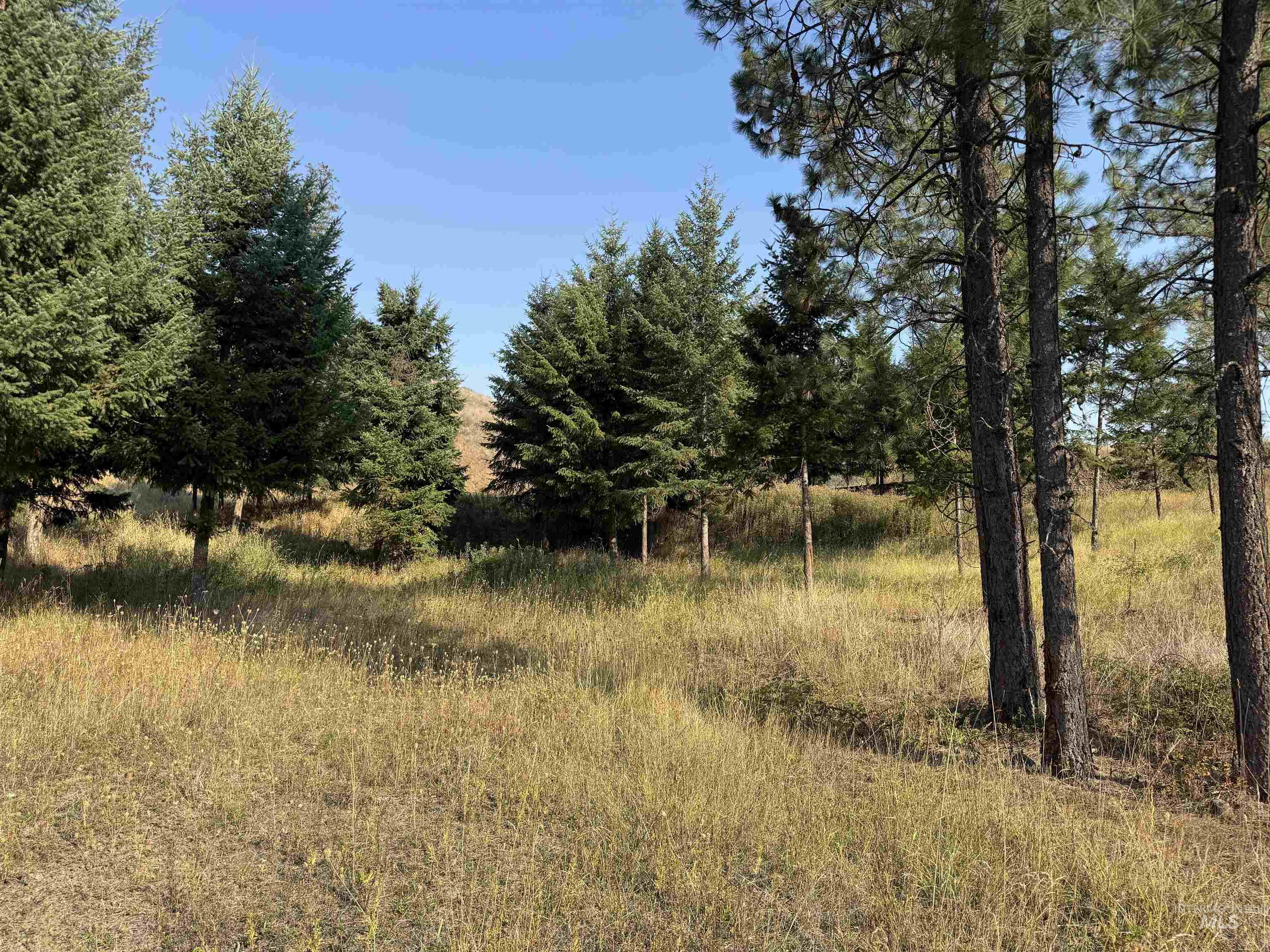 129 Meadow Lane Property Photo 5