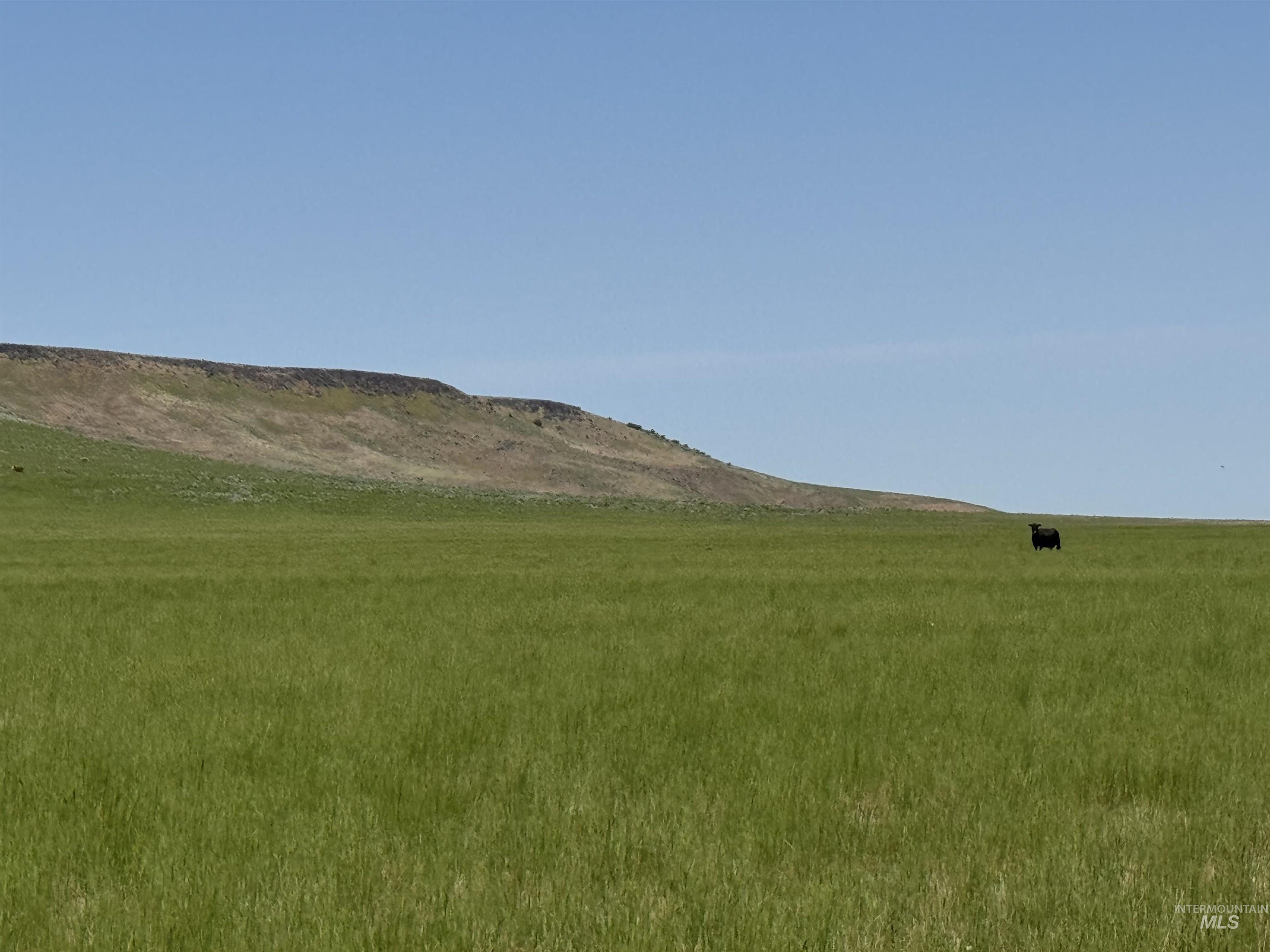 Hwy 81 Property Photo 1