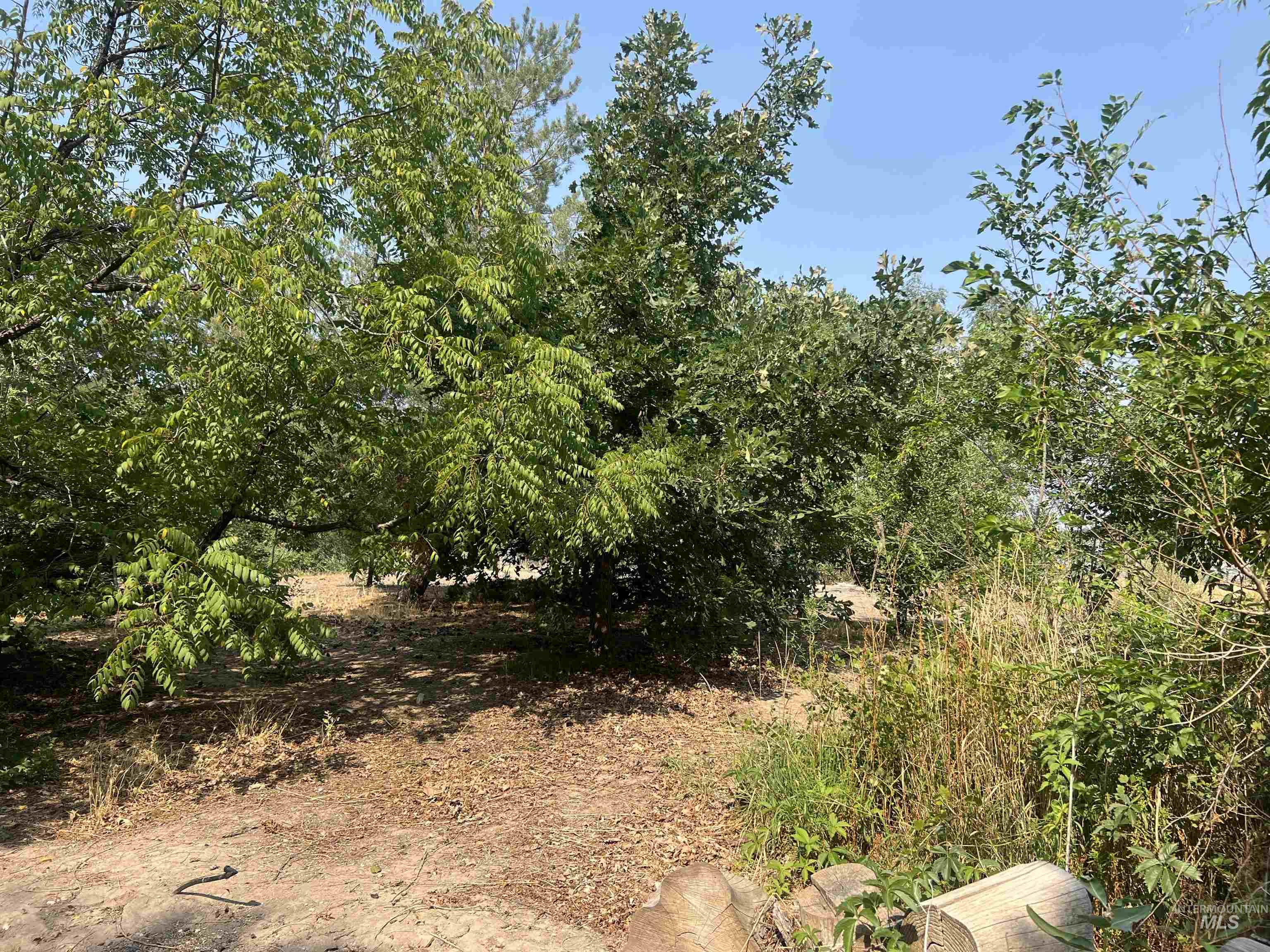 919 & 921 S. Fir Property Photo 19
