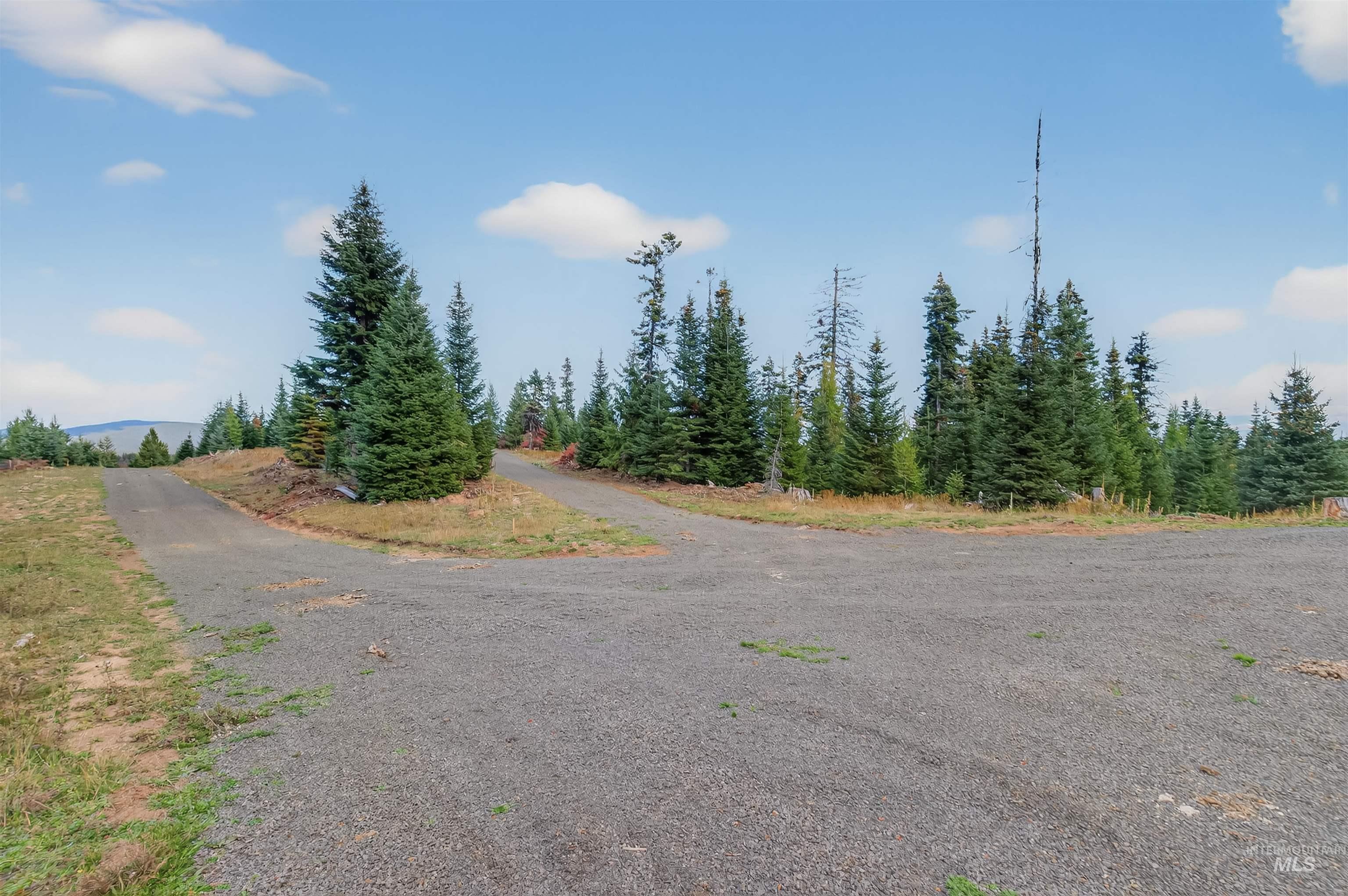 Tbd Parcel 9 Tree Farm Trails Road Property Photo 2