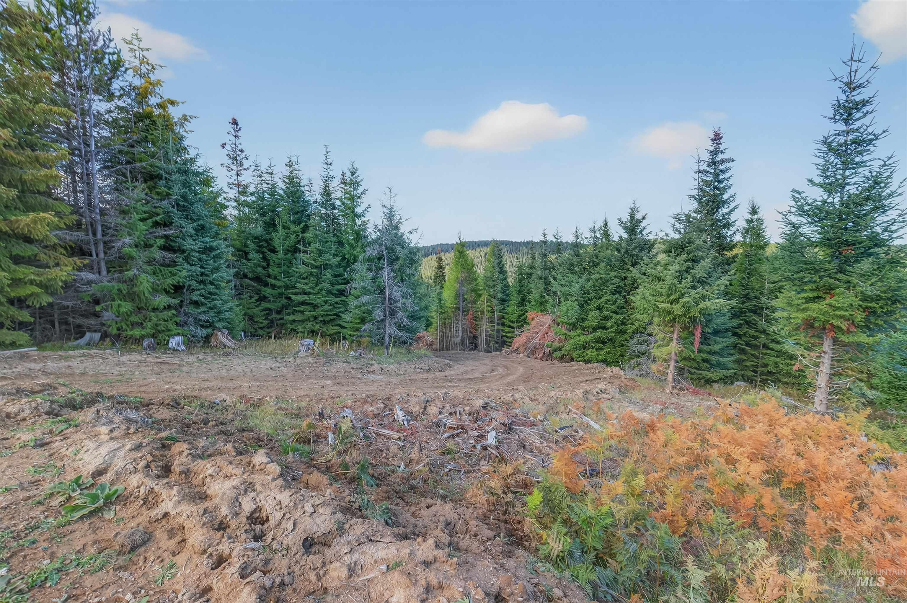 Tbd Parcel 9 Tree Farm Trails Road Property Photo 4