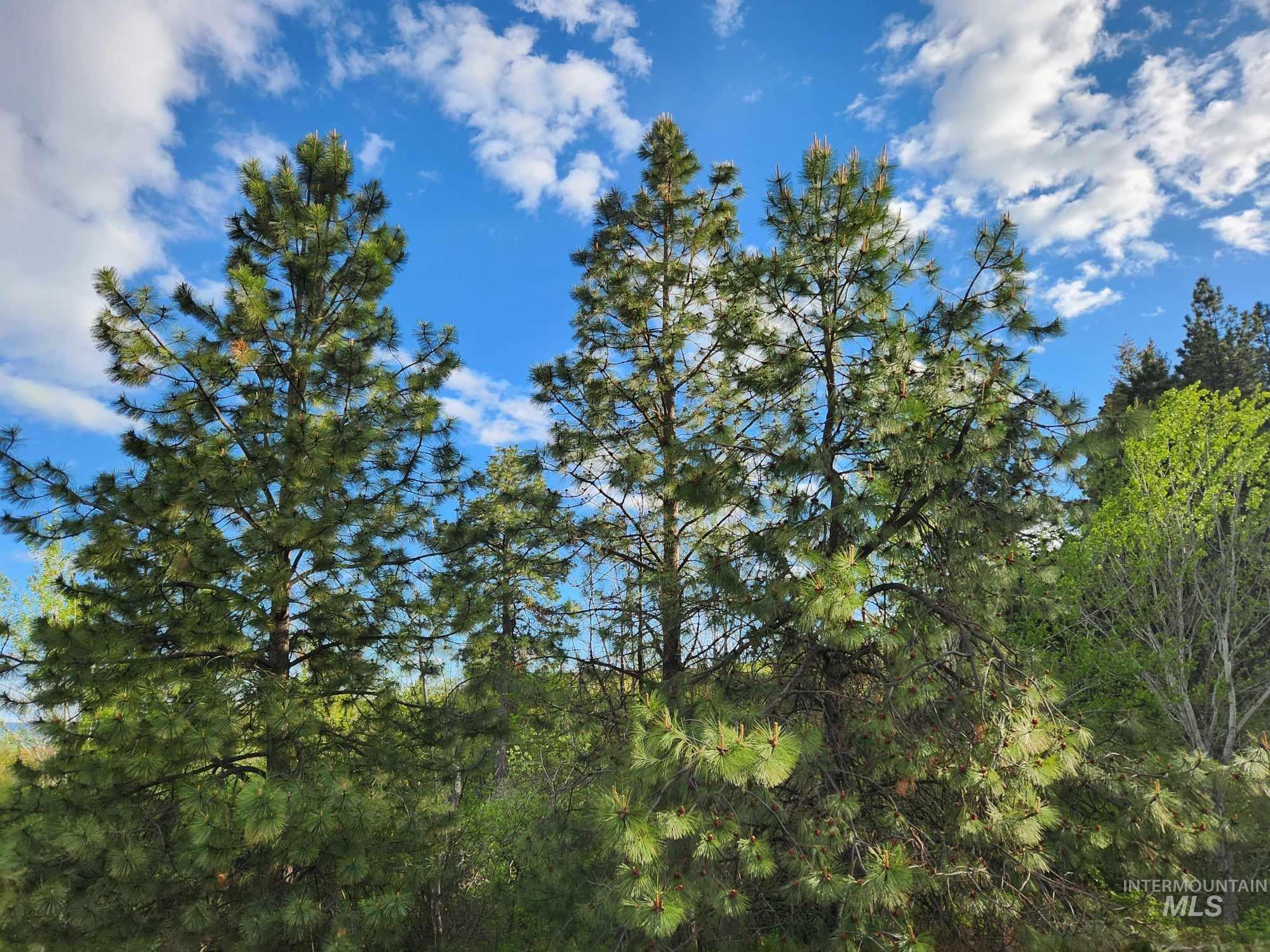 Tbd Ken Trail Property Photo 3