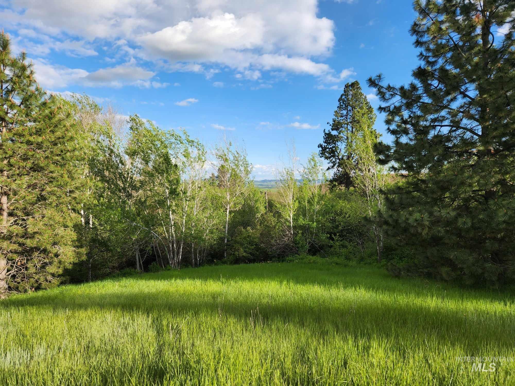 Tbd Ken Trail Property Photo 4