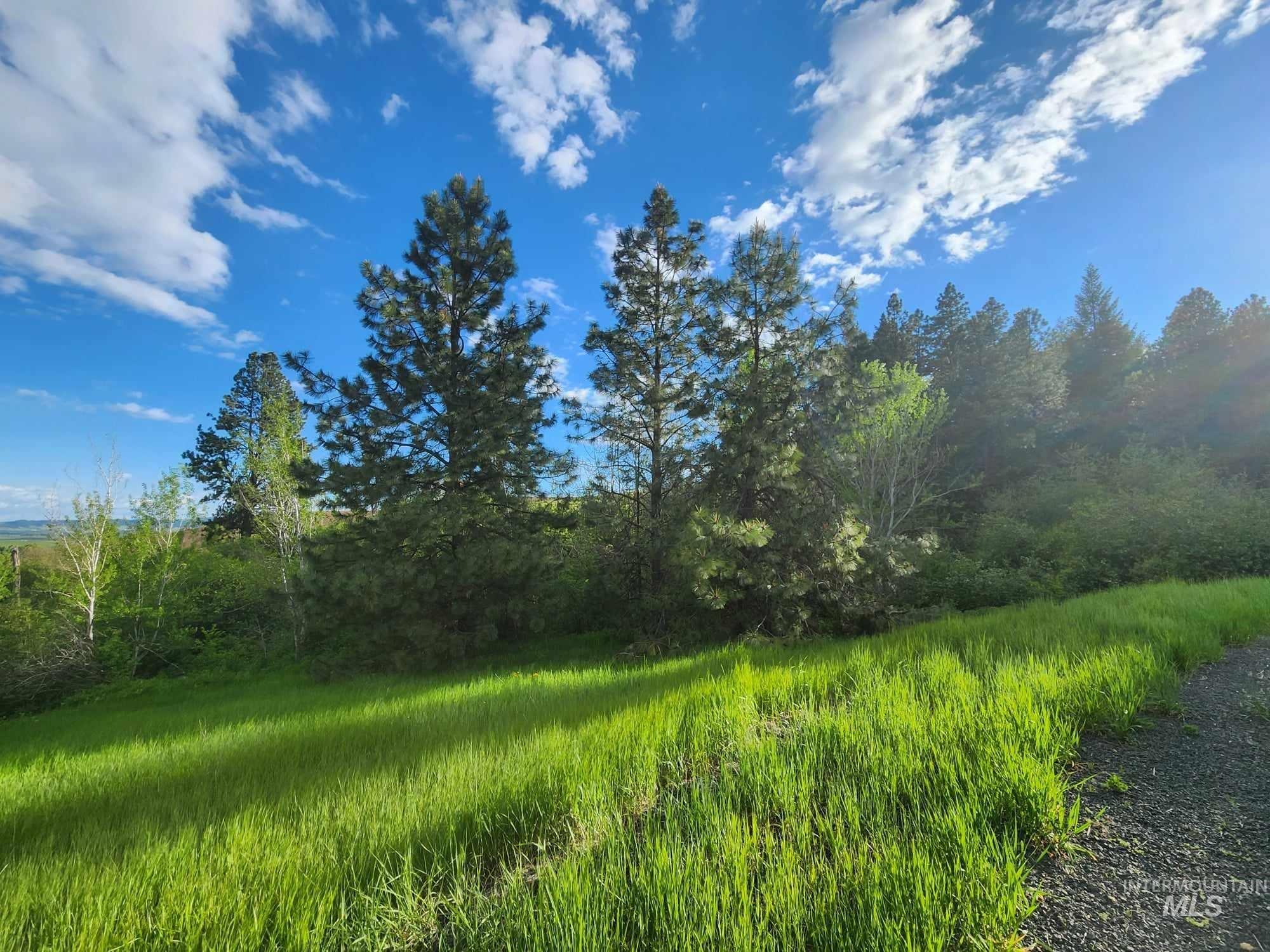 Tbd Ken Trail Property Photo 6