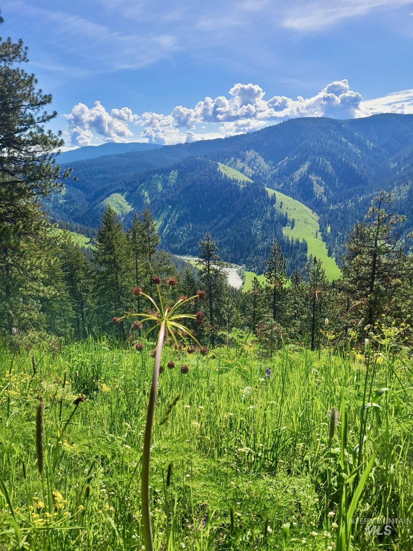 929 Mt. Idaho Grade Rd Property Photo 3