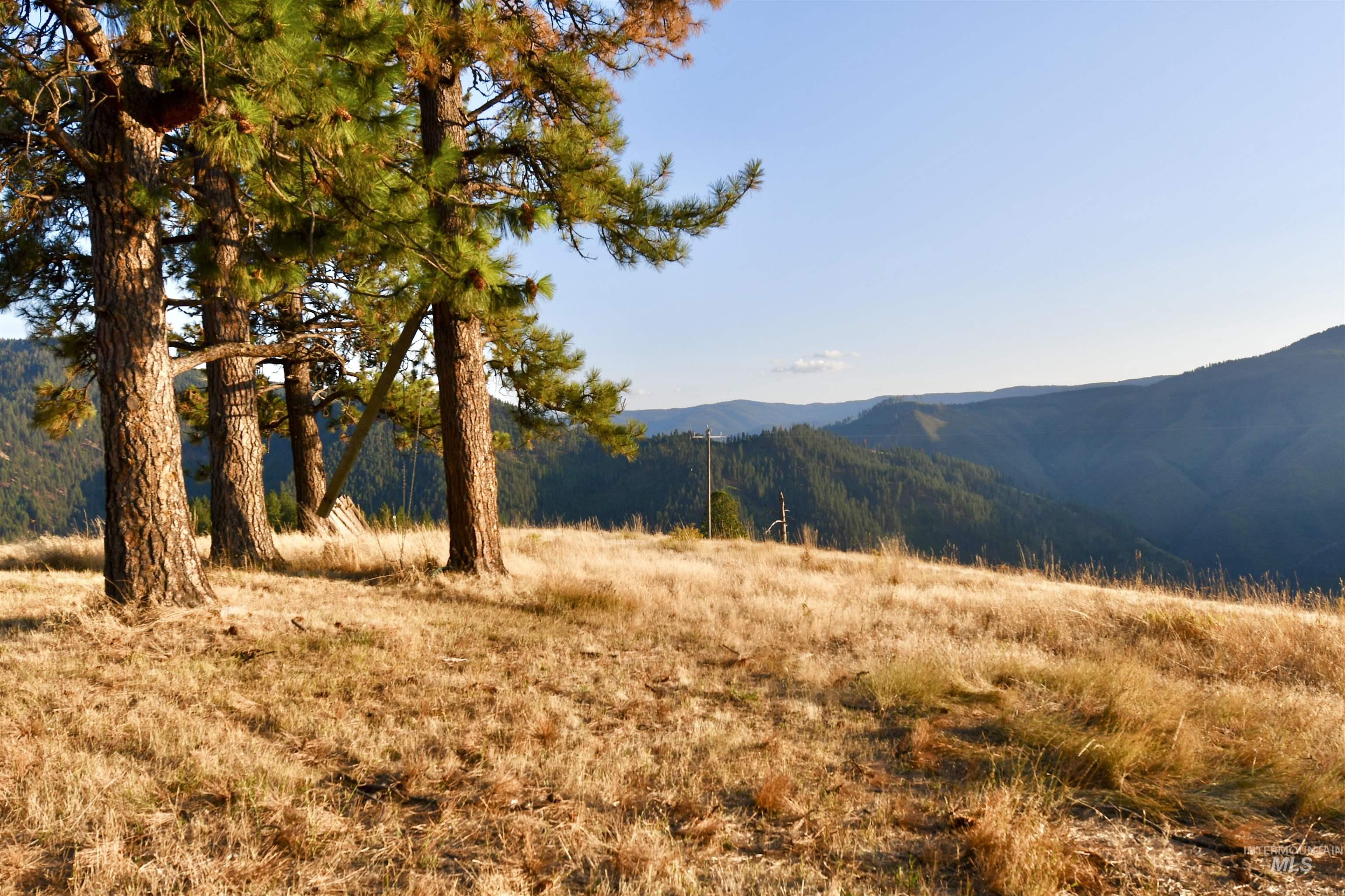 929 Mt. Idaho Grade Rd Property Photo 33