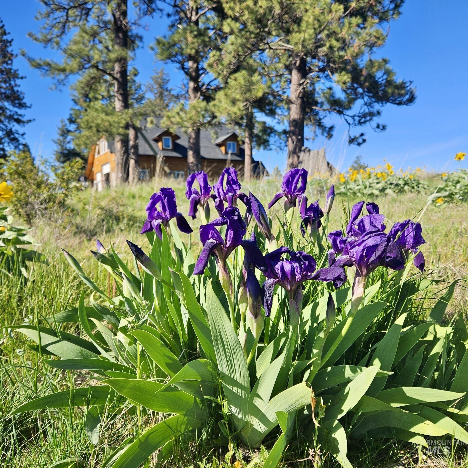 929 Mt. Idaho Grade Rd Property Photo 45