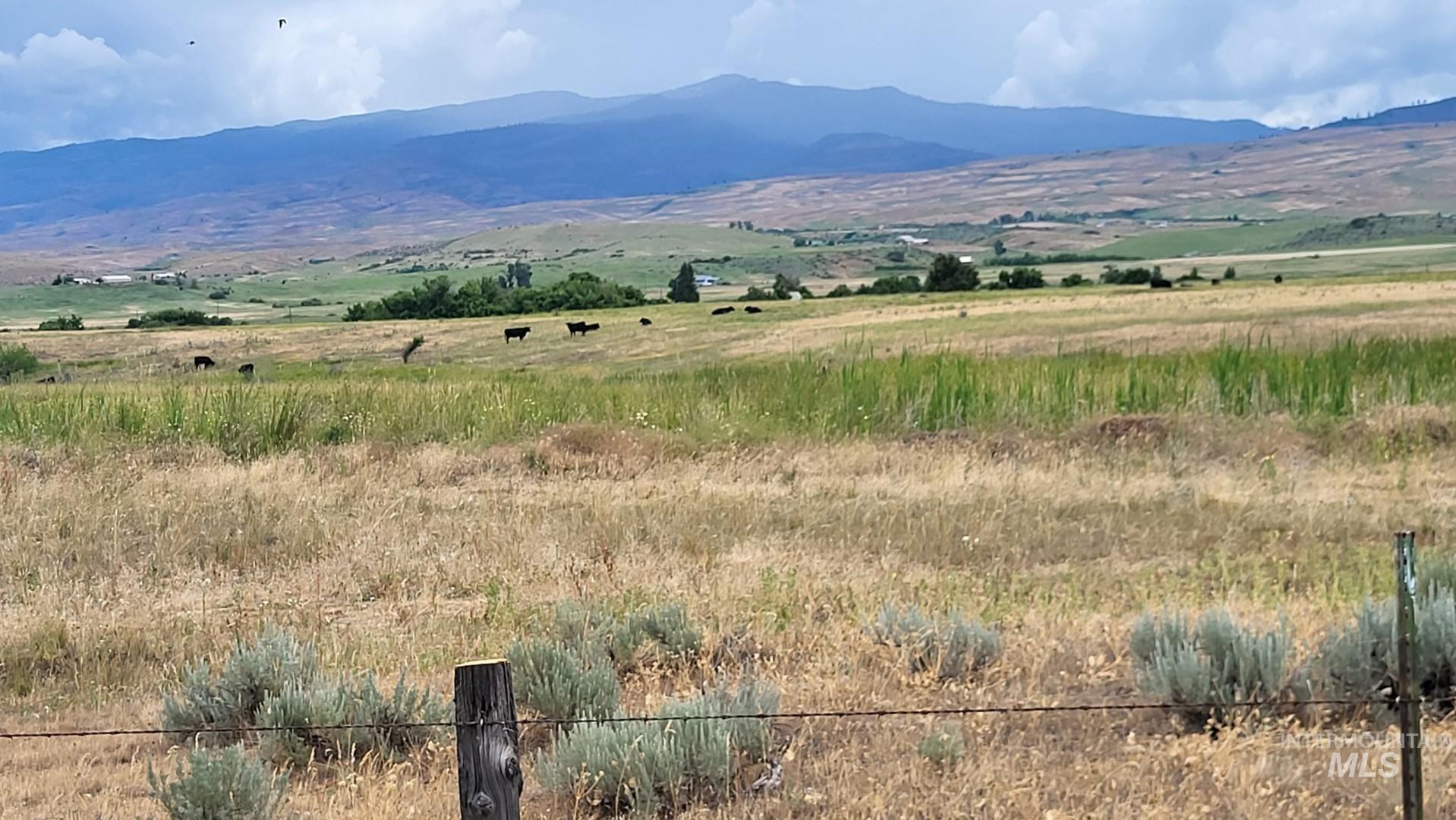 1032 W Indian Valley Rd Property Photo 48