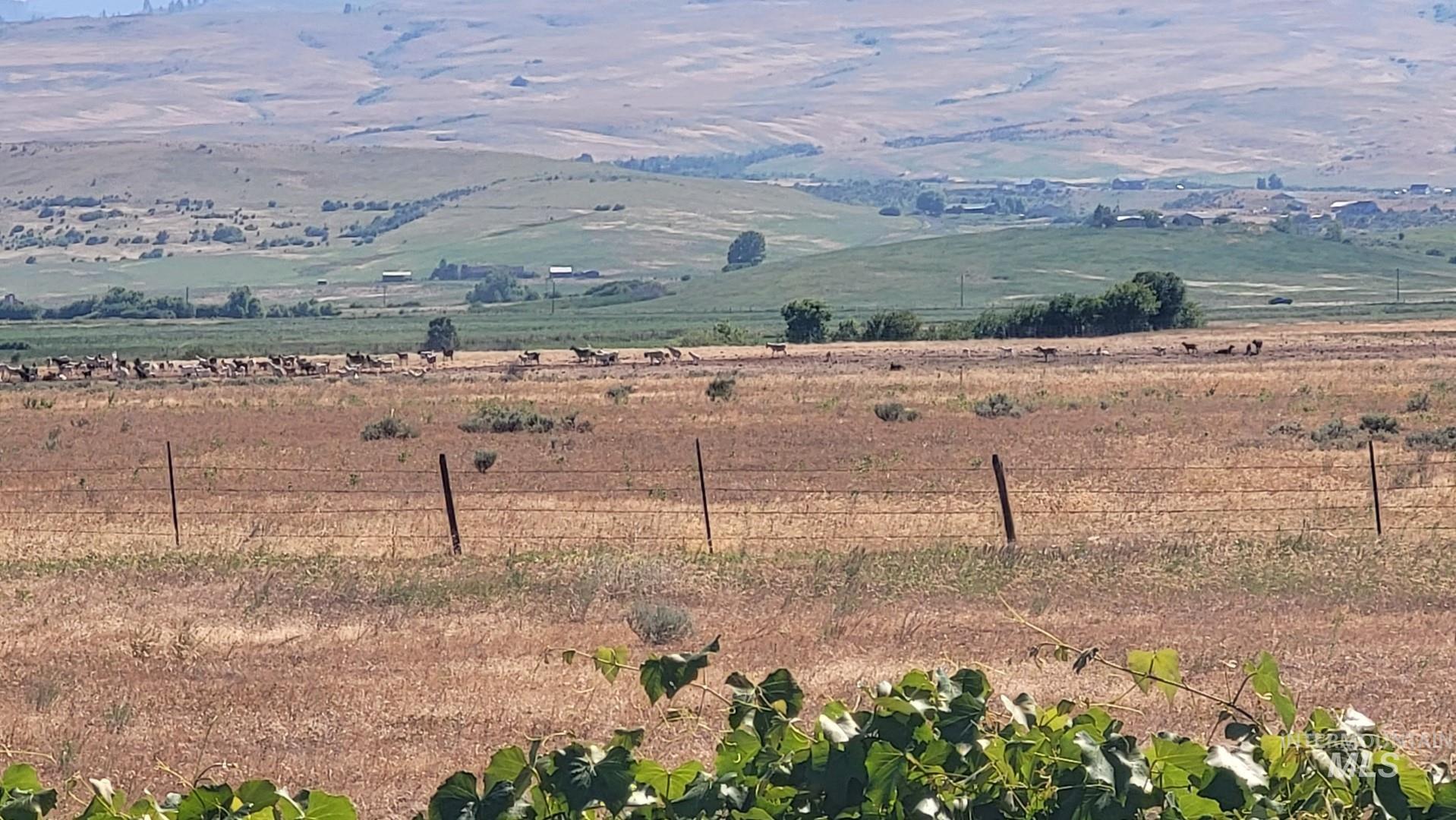 1032 W Indian Valley Rd Property Photo 49