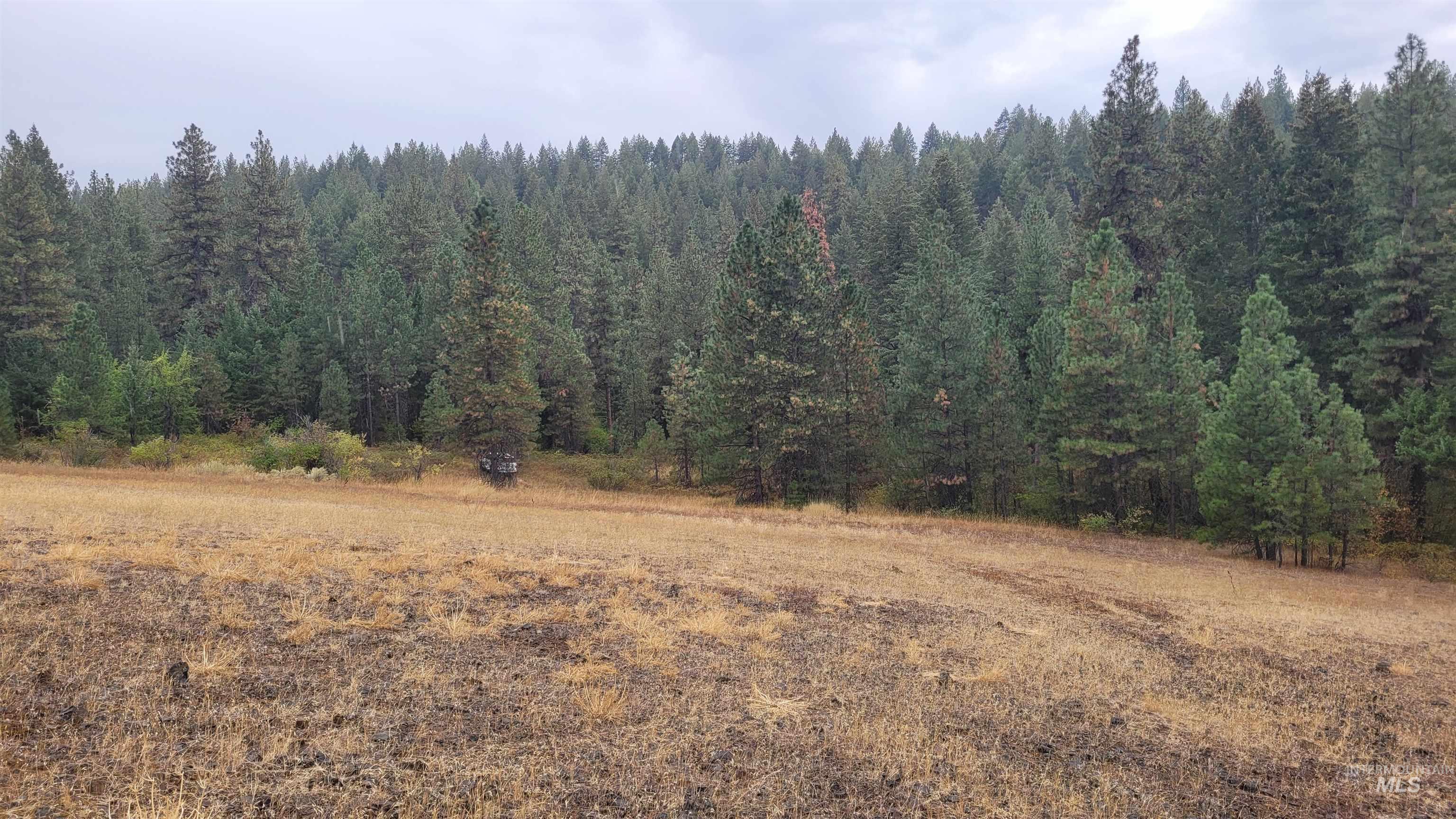 Tbd Adams County Property Photo 3