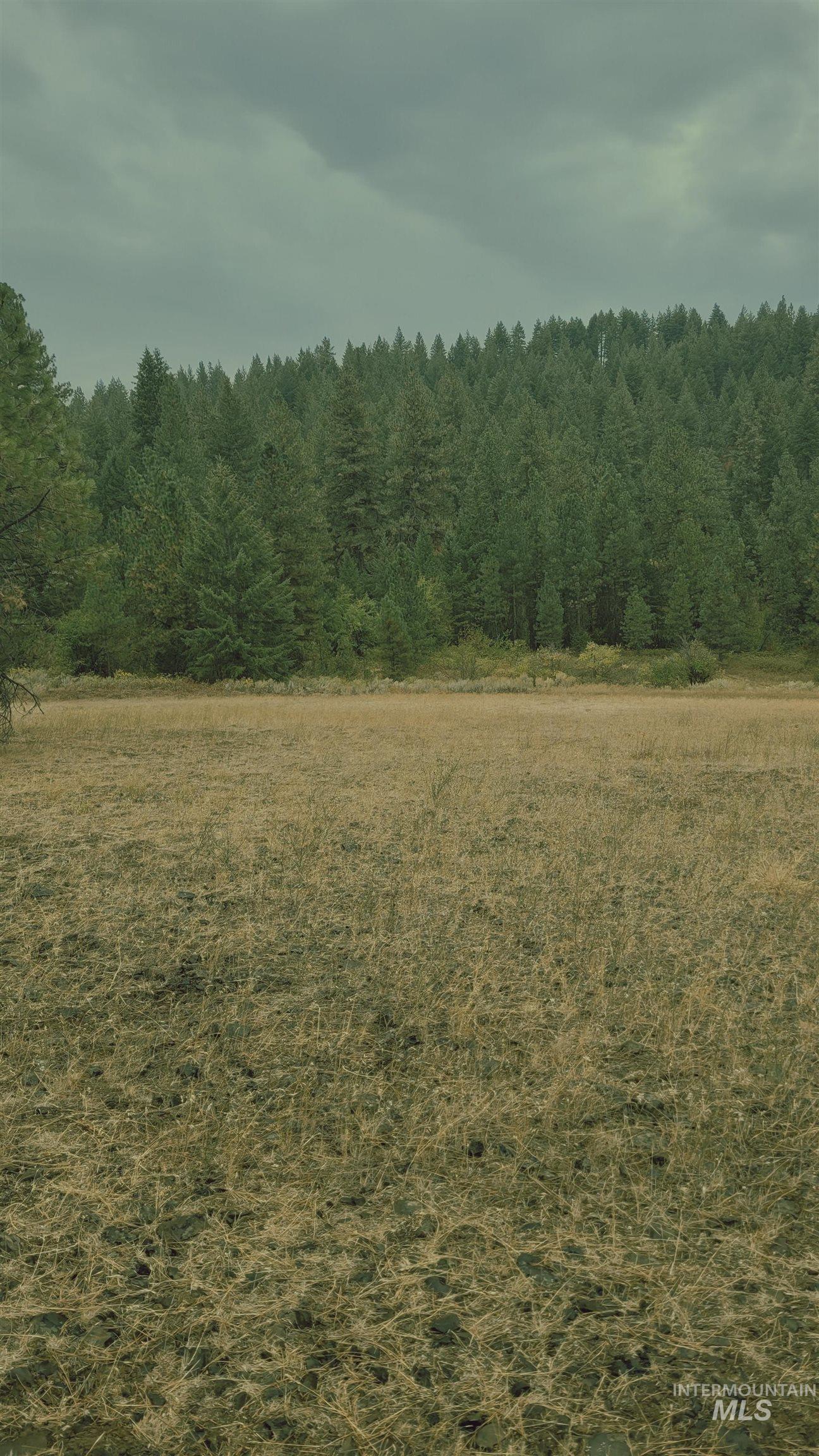Tbd Adams County Property Photo 4