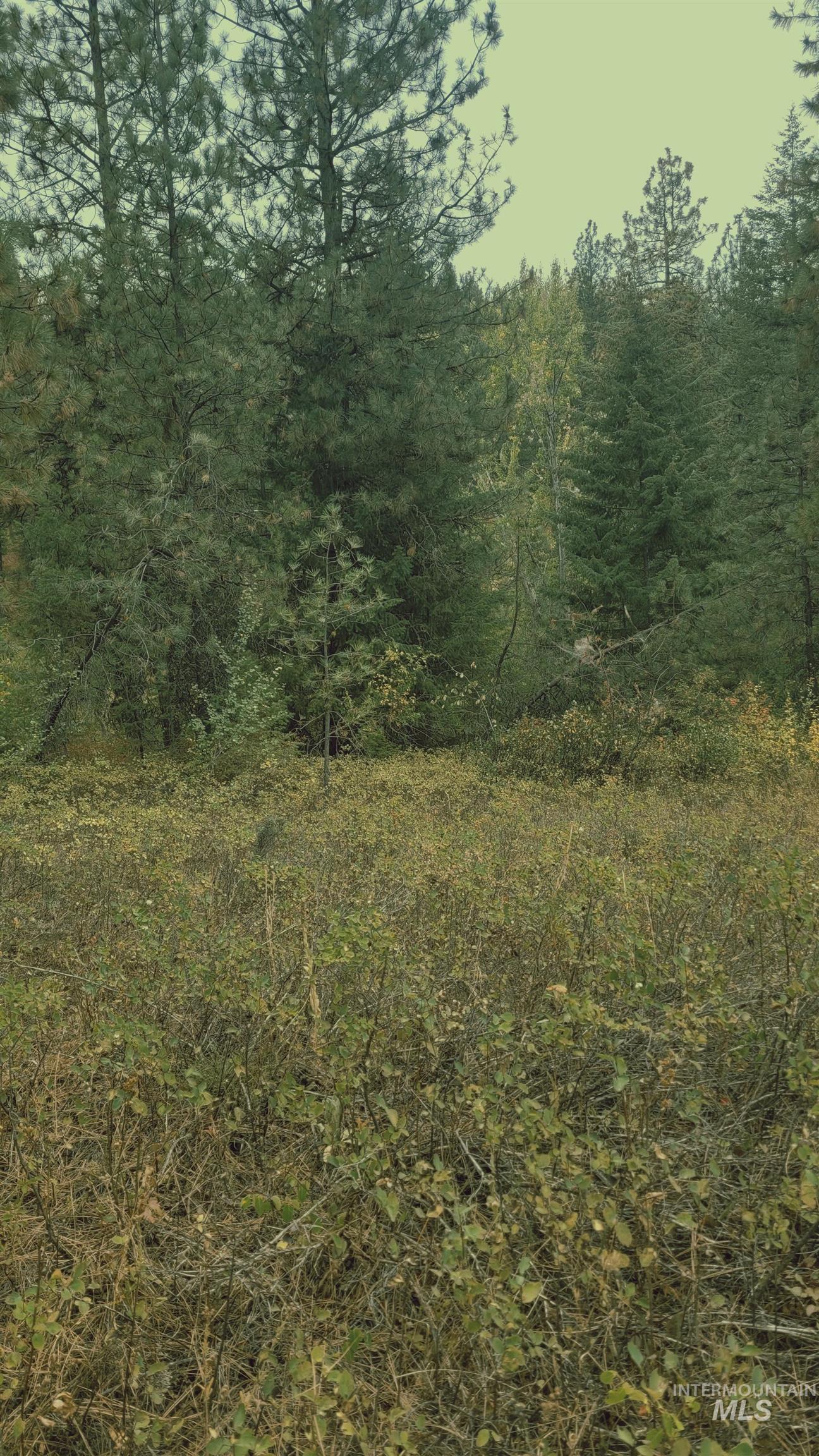 Tbd Adams County Property Photo 5