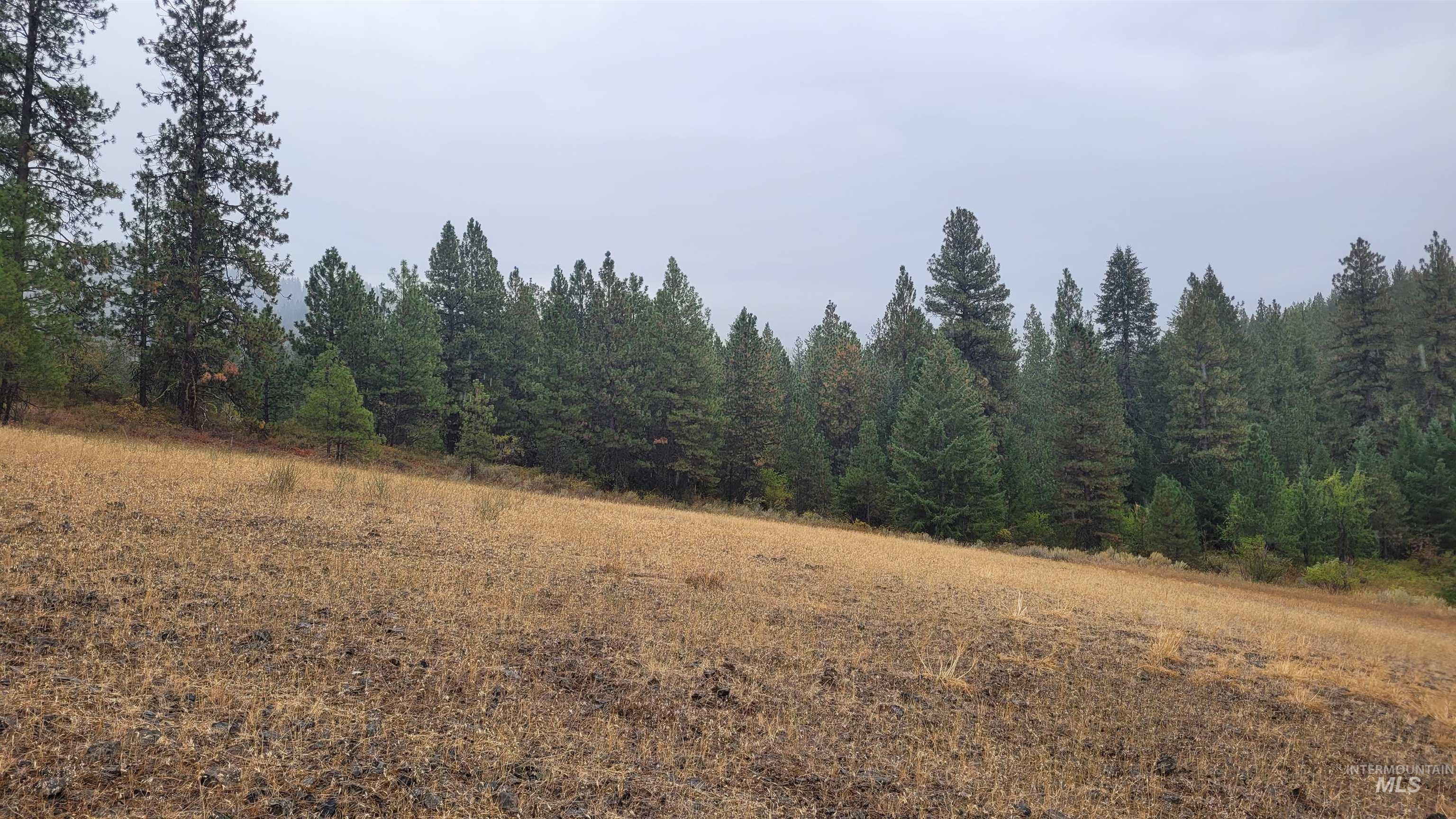 Tbd Adams County Property Photo 7