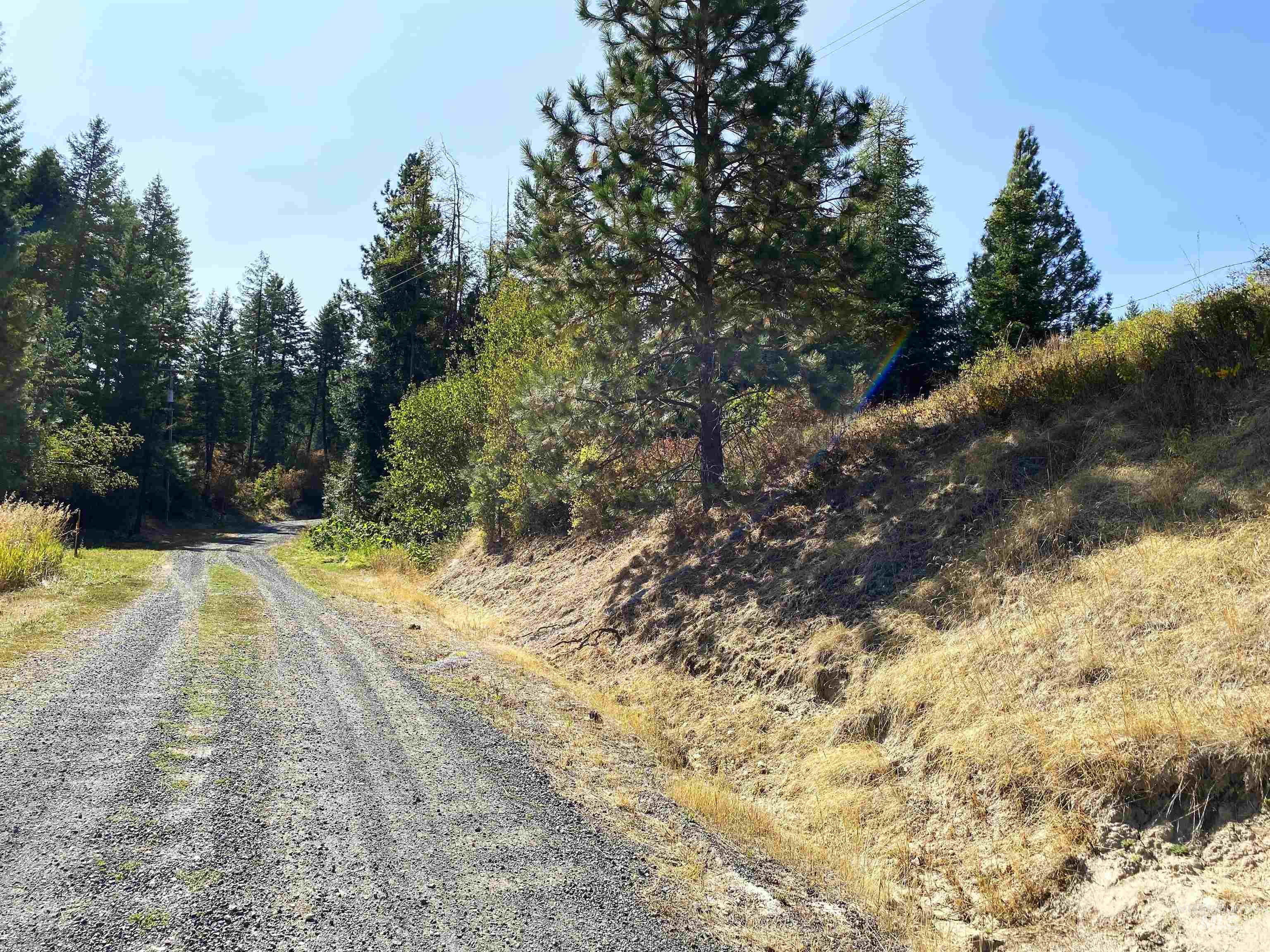 1007 W Hatter Creek Property Photo 2