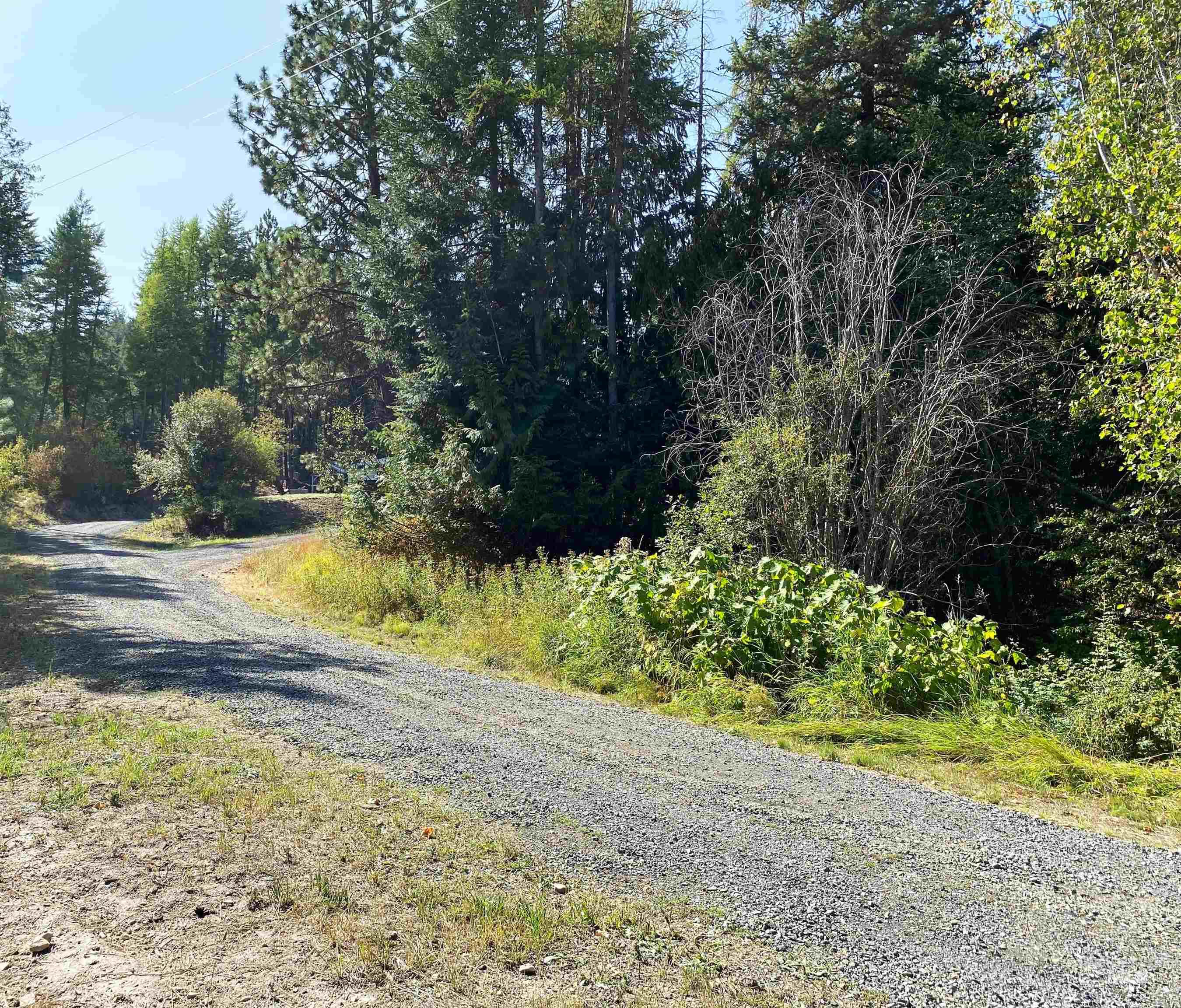 1007 W Hatter Creek Property Photo 3