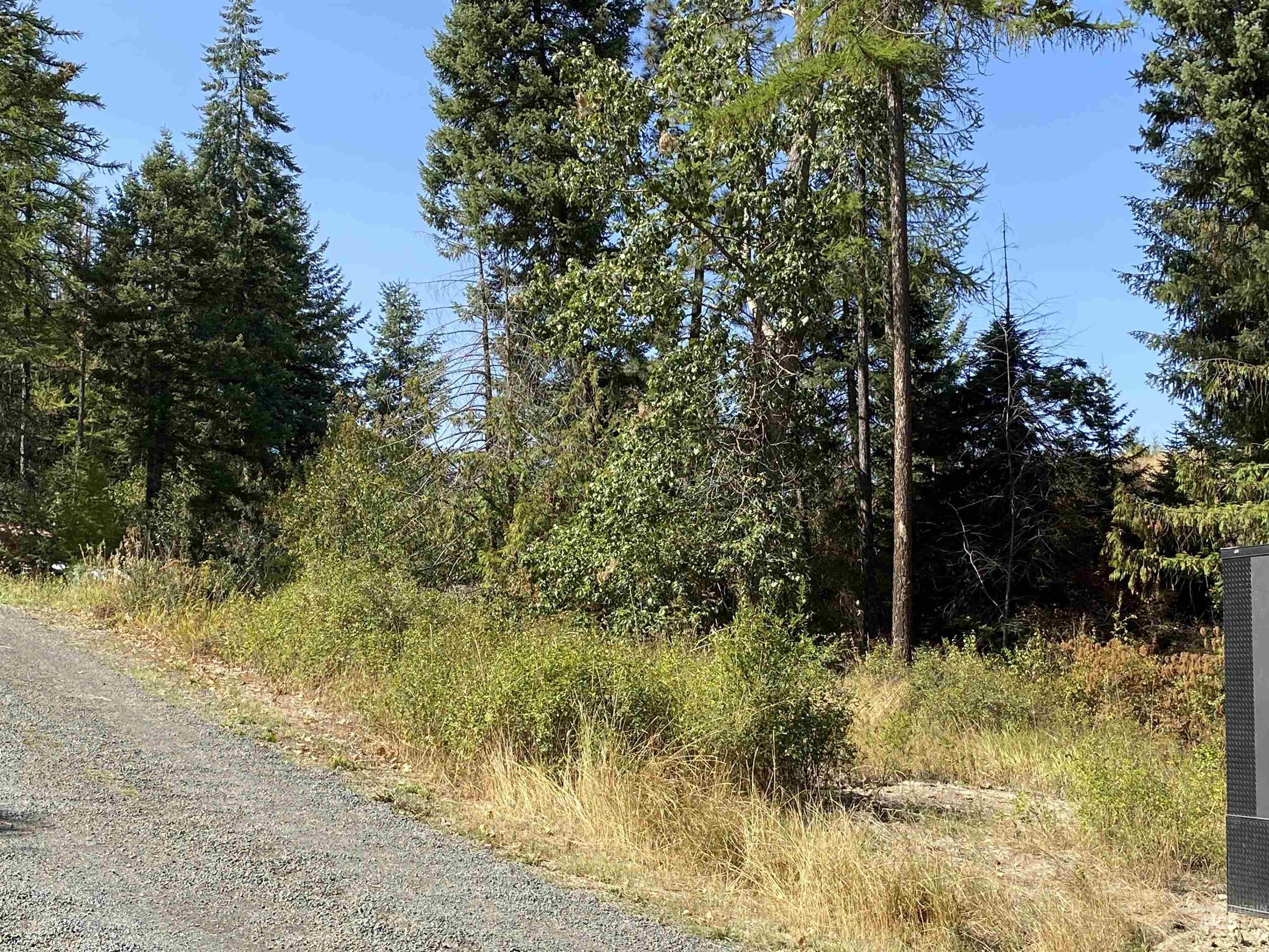 1007 W Hatter Creek Property Photo 32