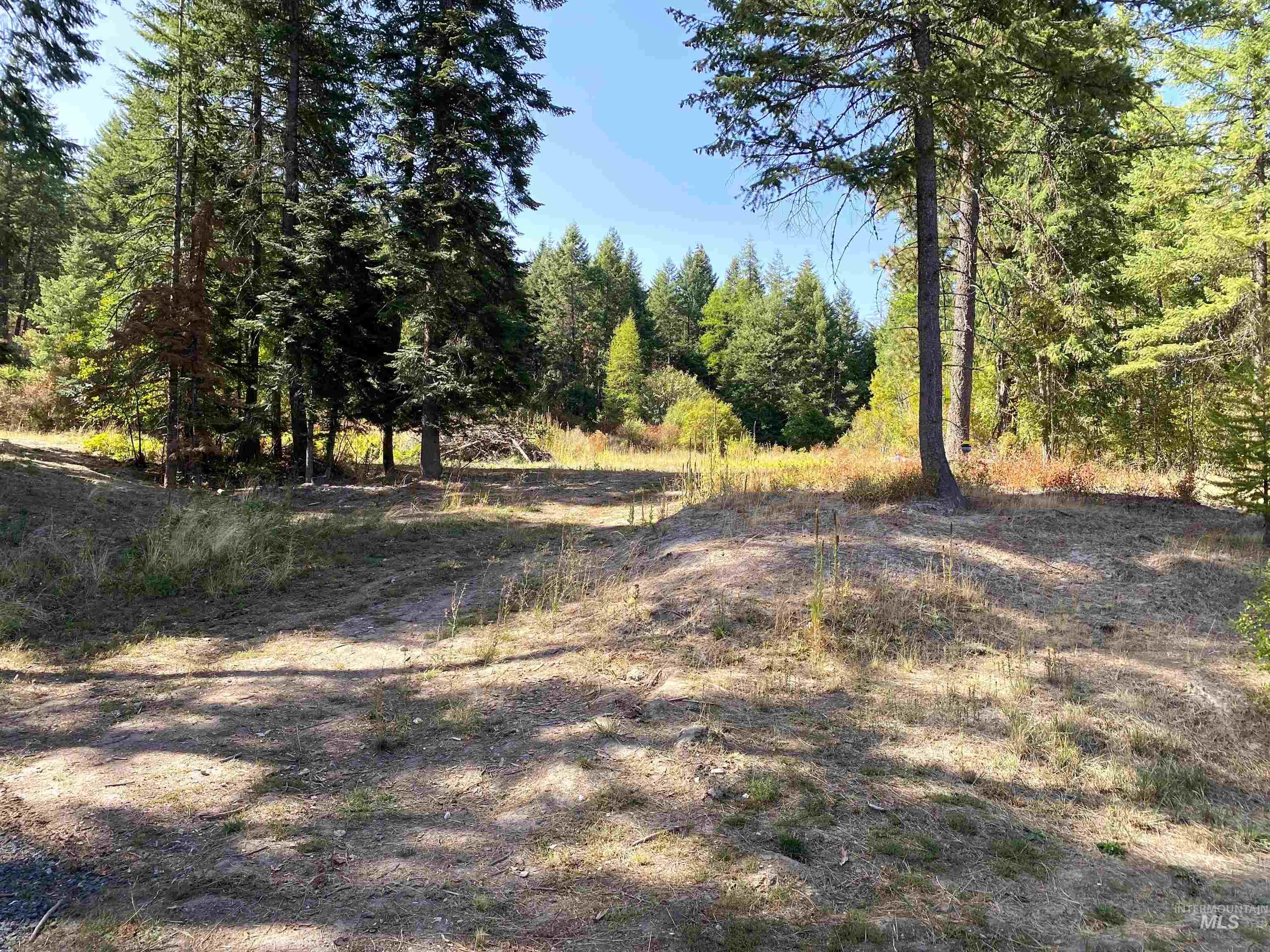 1007 W Hatter Creek Property Photo 40