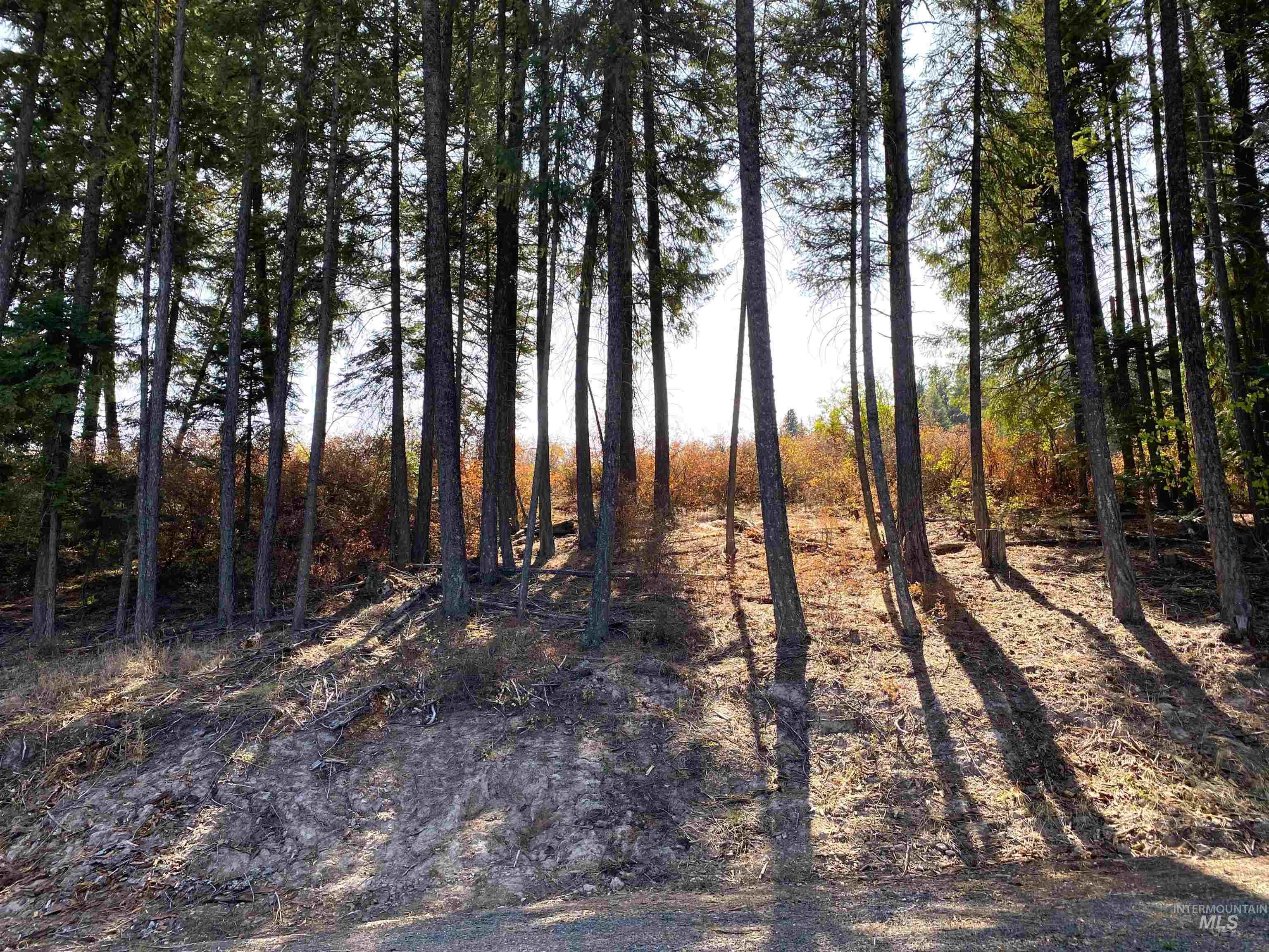 1007 W Hatter Creek Property Photo 41