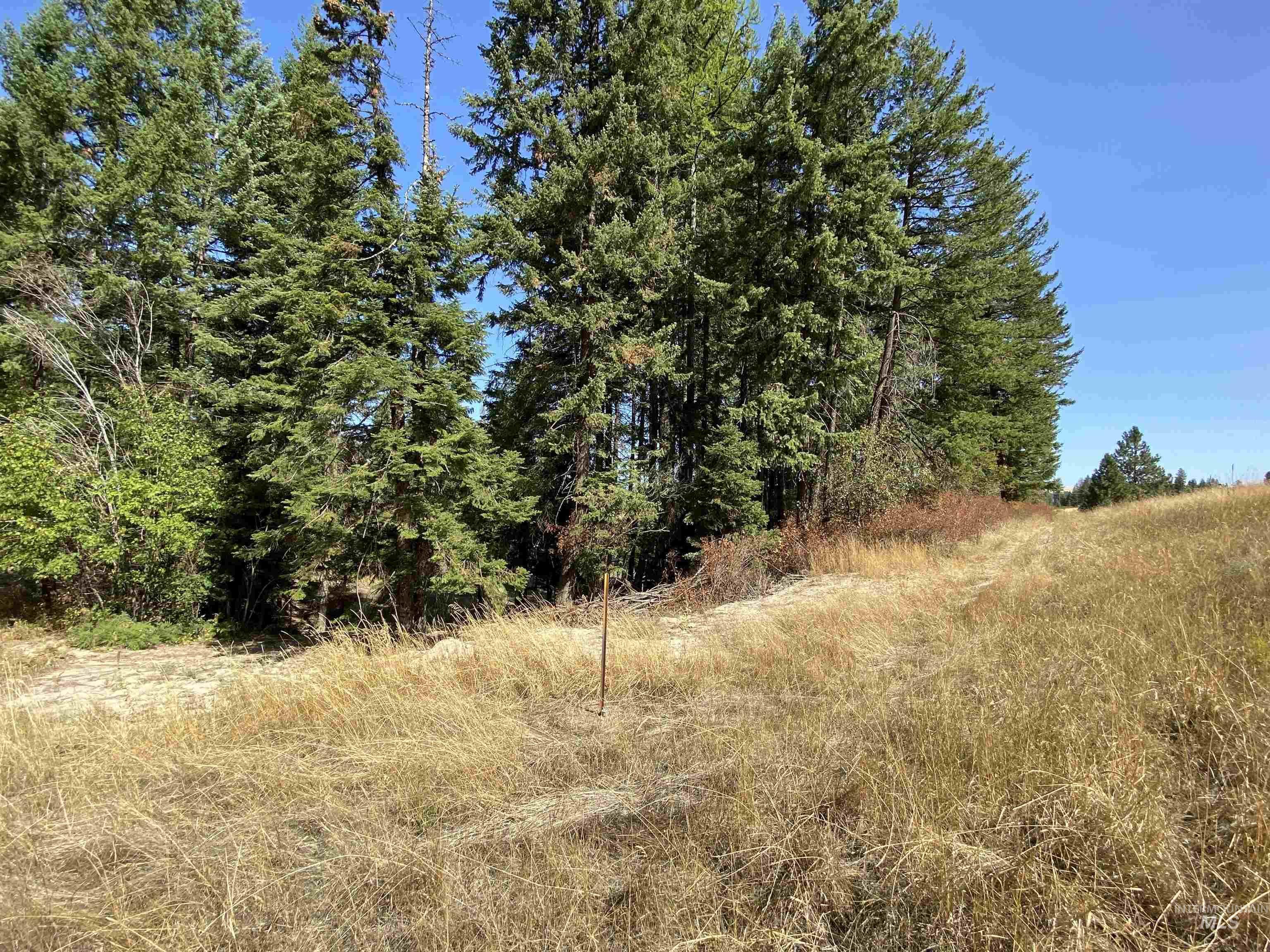 1007 W Hatter Creek Property Photo 43