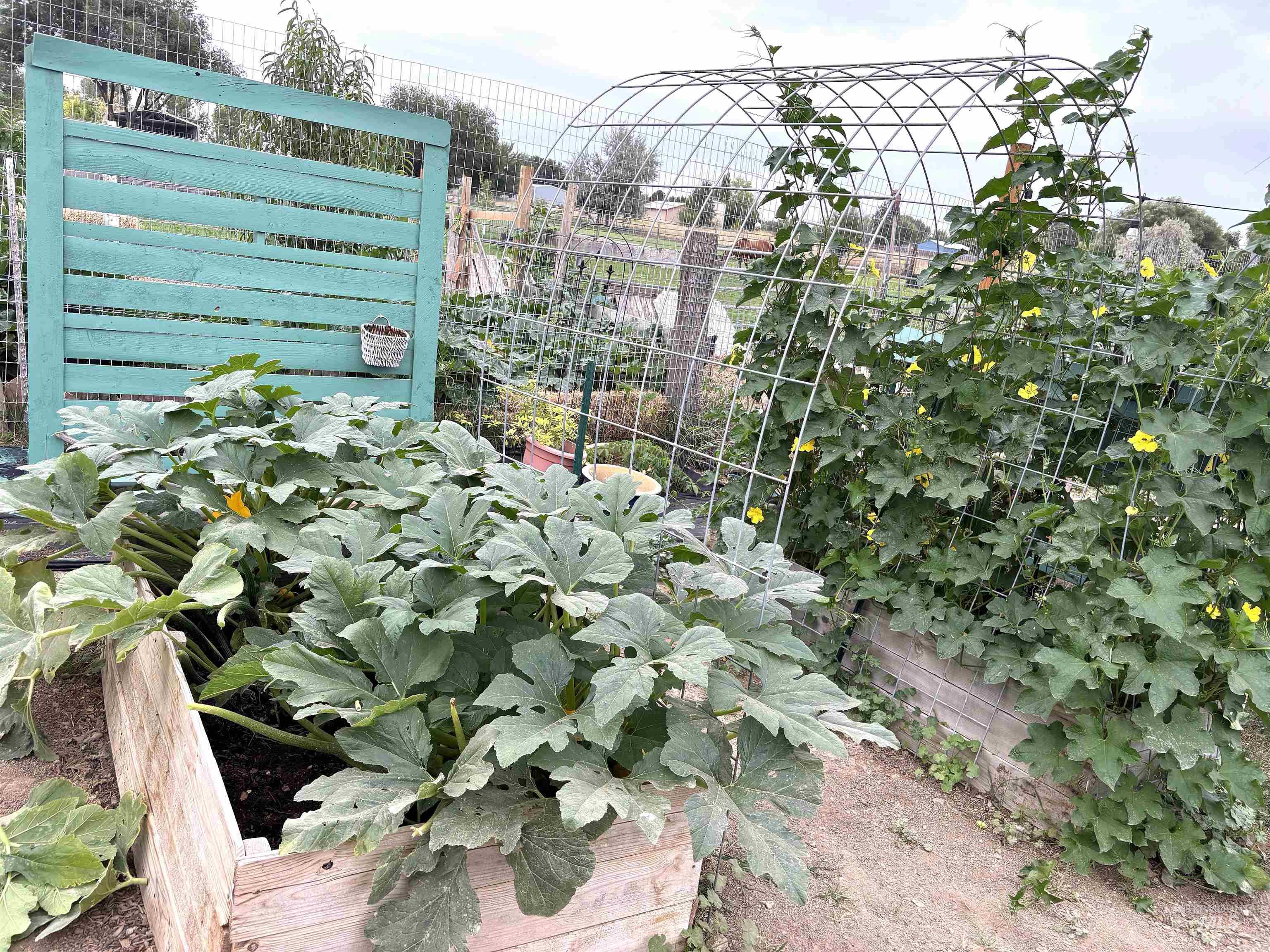 12733 Five Mile Rd Property Photo 18