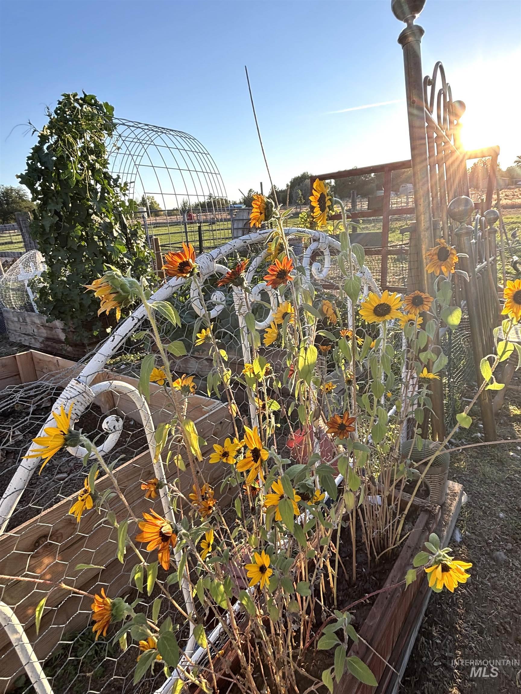 12733 Five Mile Rd Property Photo 19