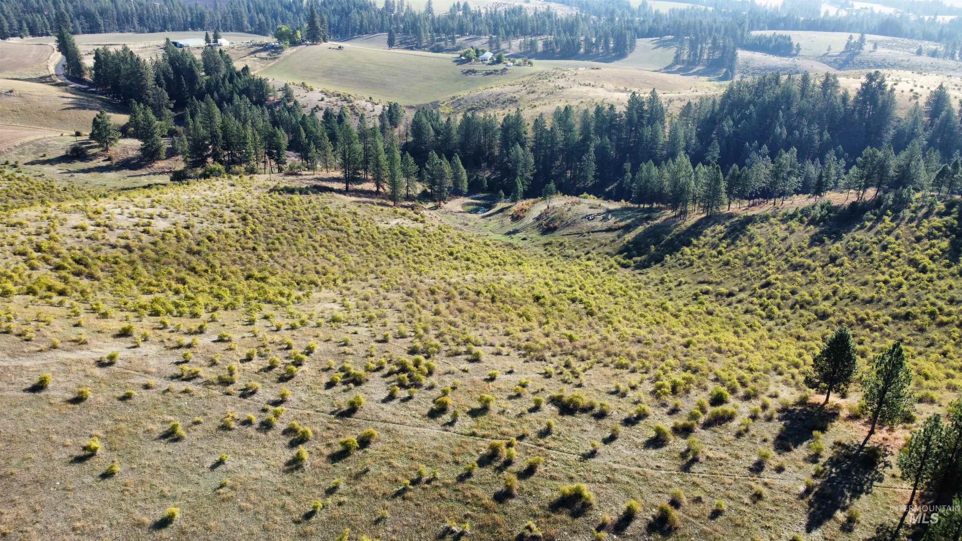 Tbd Pardee Road Property Photo 5