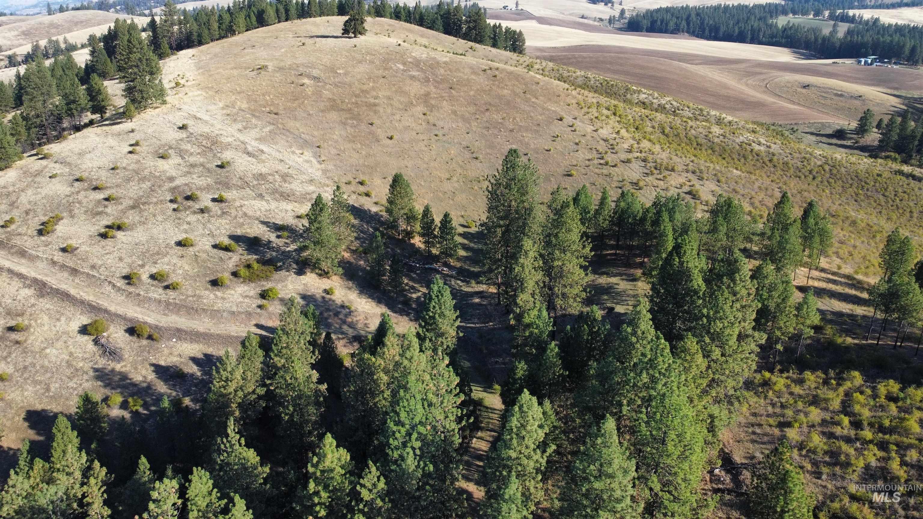 Tbd Pardee Road Property Photo 7