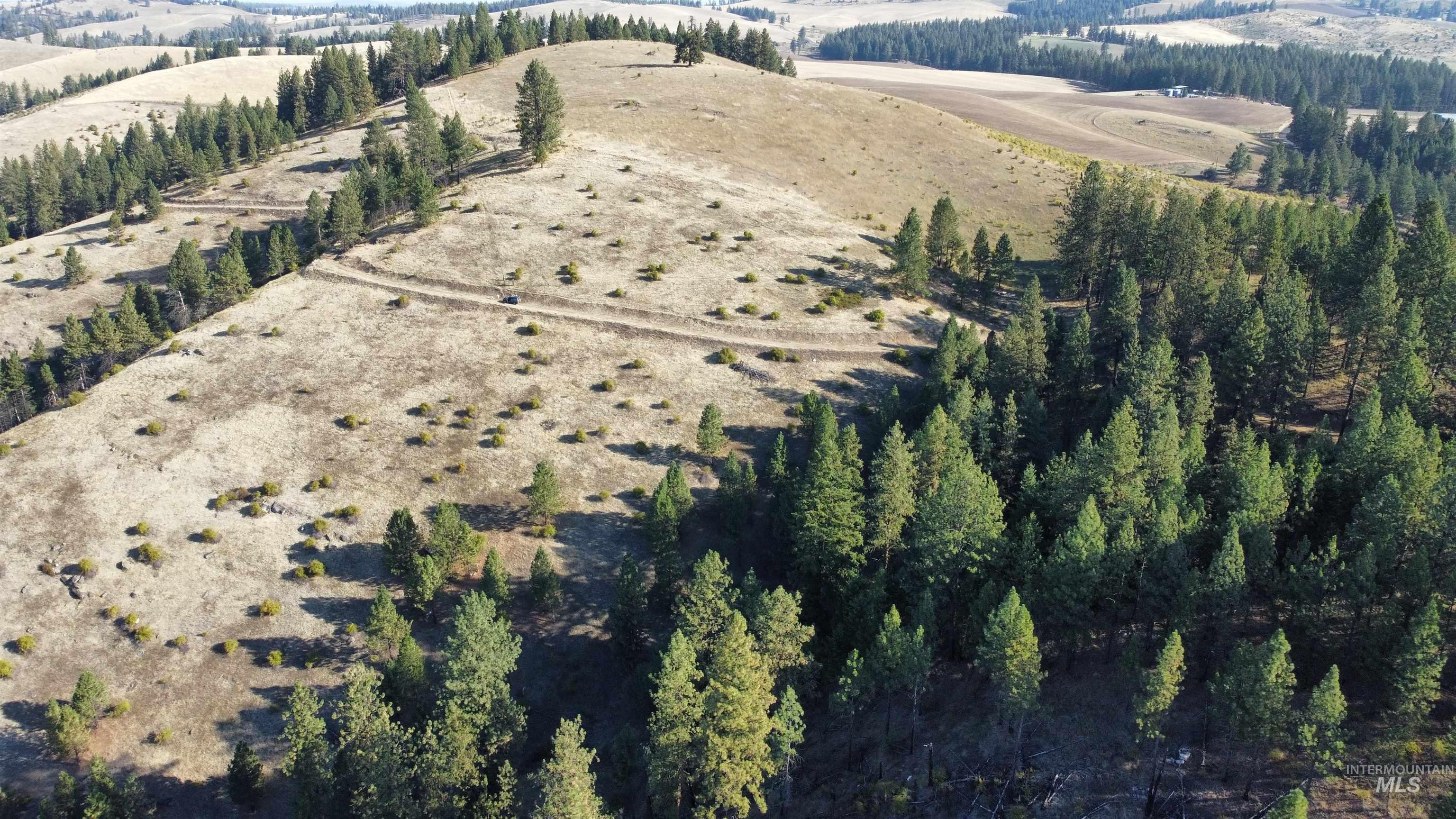Tbd Pardee Road Property Photo 9