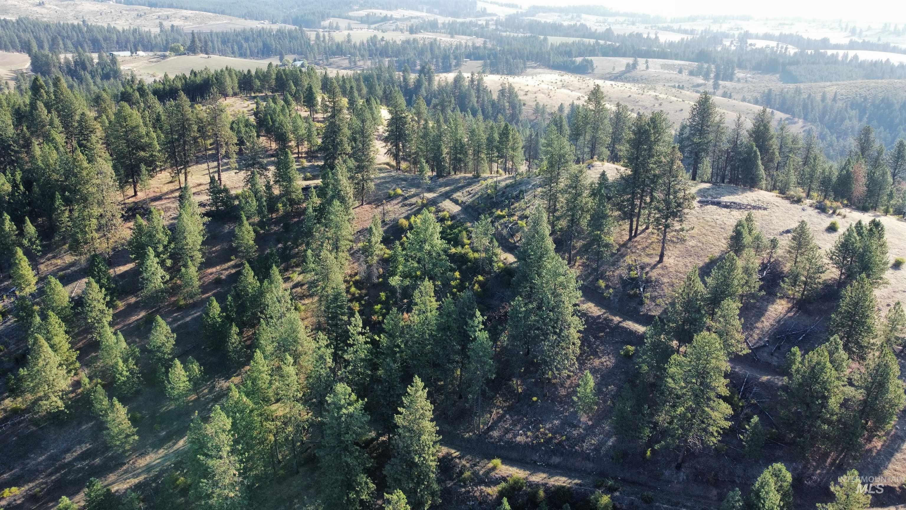 Tbd Pardee Road Property Photo 10