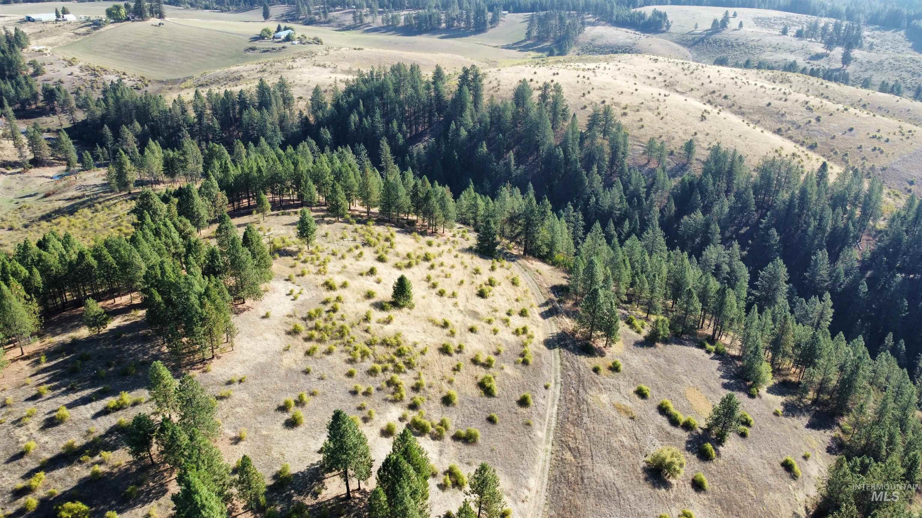 Tbd Pardee Road Property Photo 11