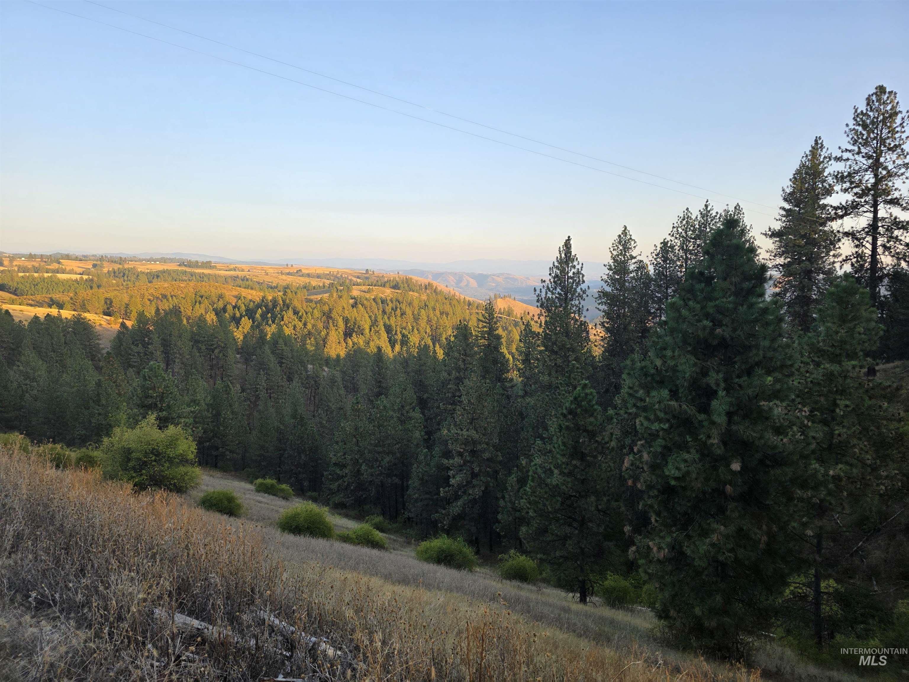 Tbd Pardee Road Property Photo 14