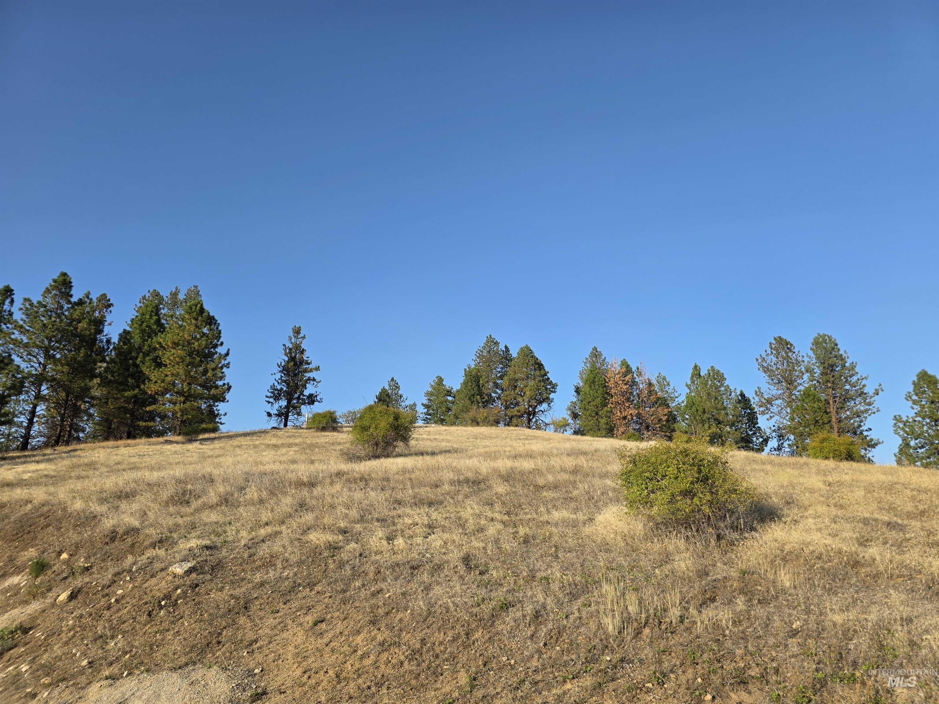Tbd Pardee Road Property Photo 15