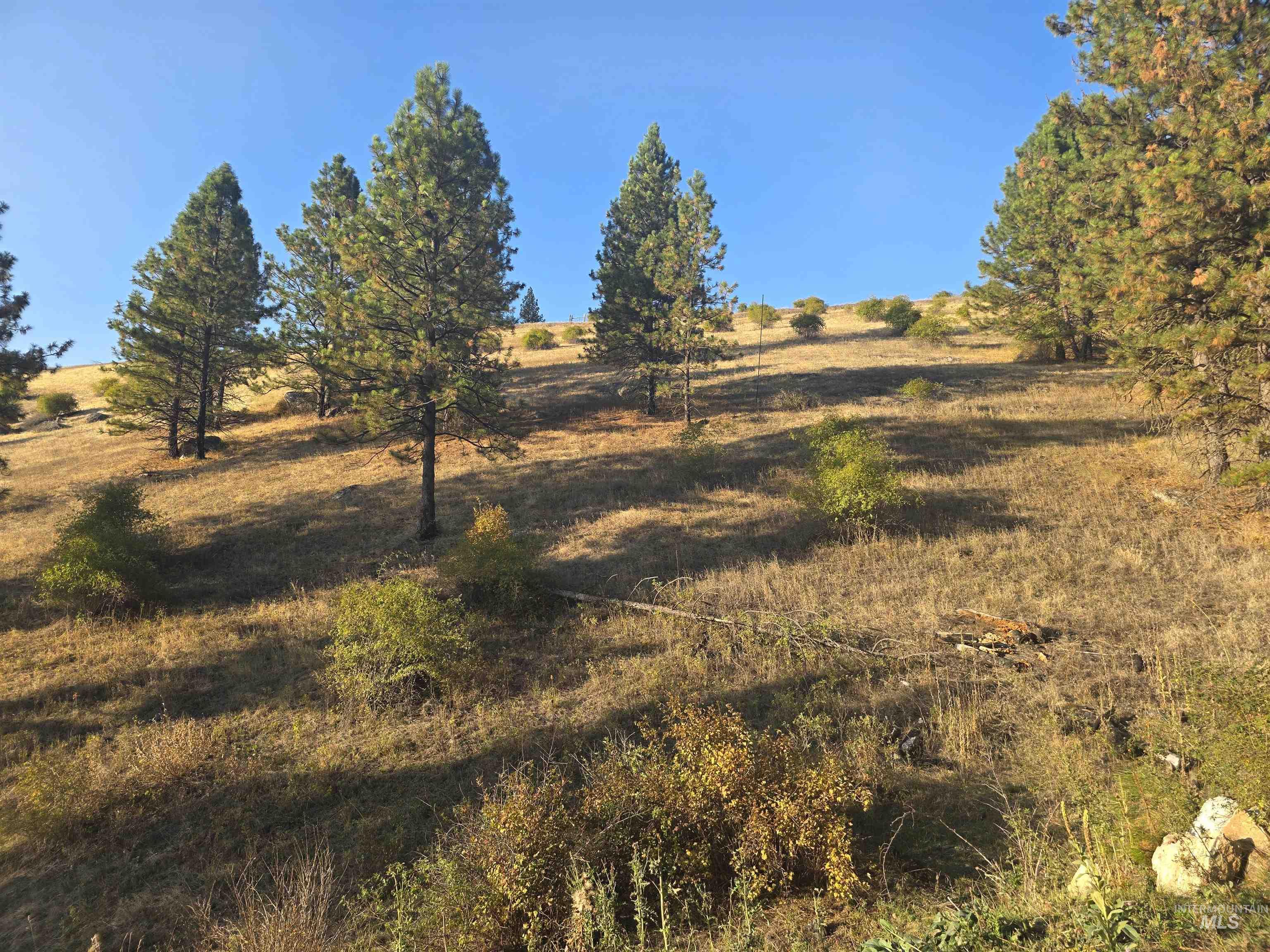 Tbd Pardee Road Property Photo 16