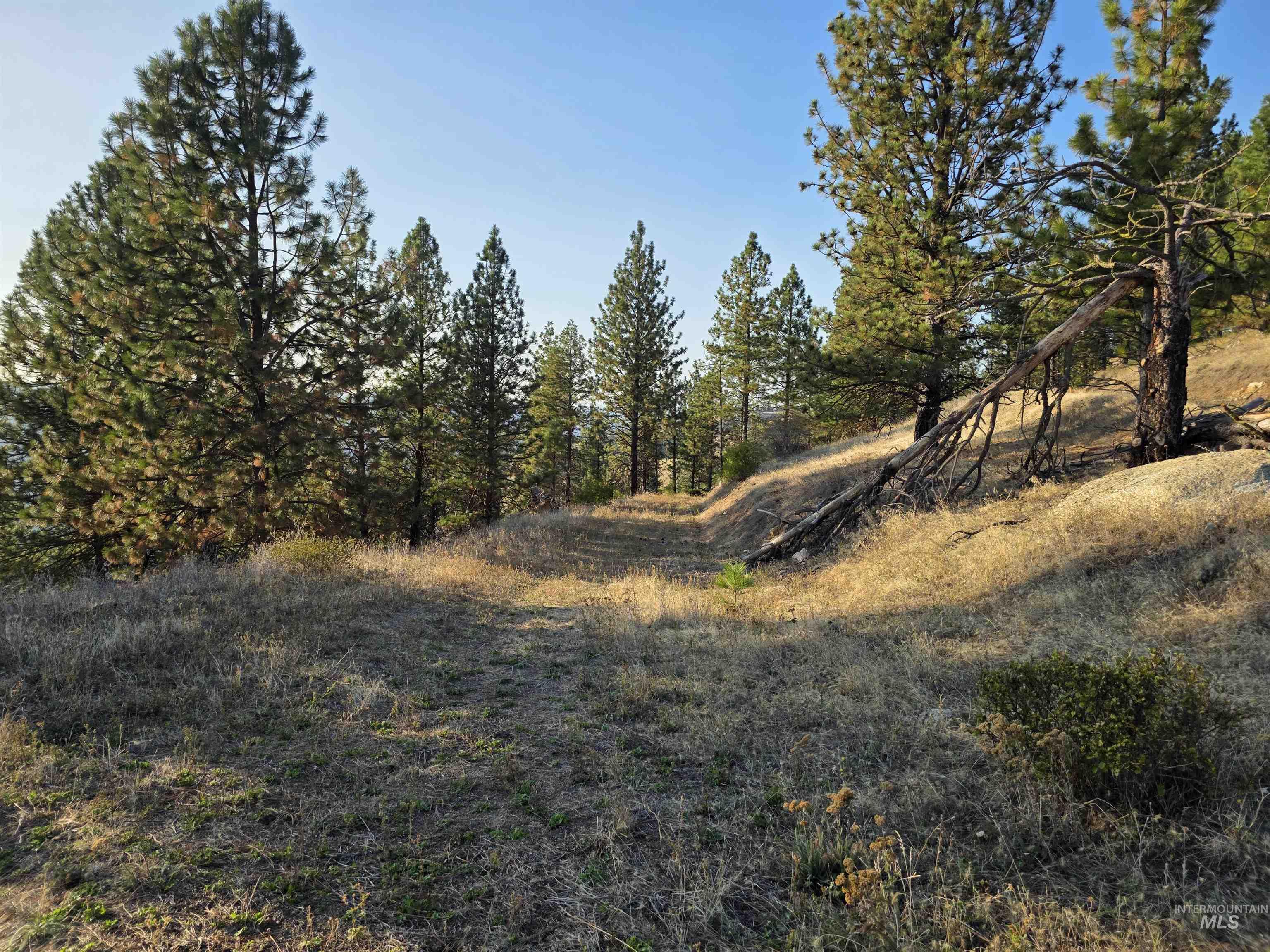Tbd Pardee Road Property Photo 18