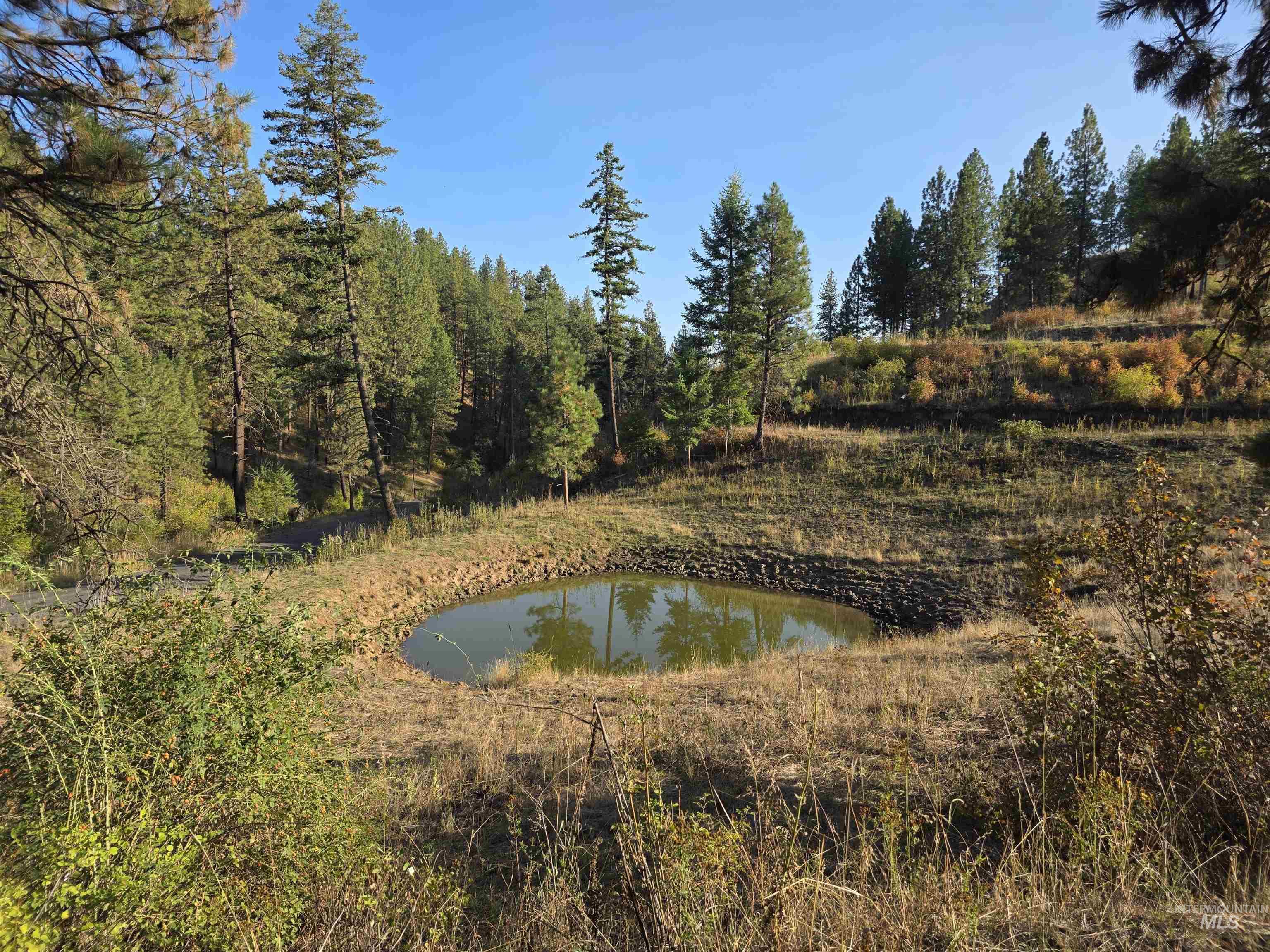 Tbd Pardee Road Property Photo 20