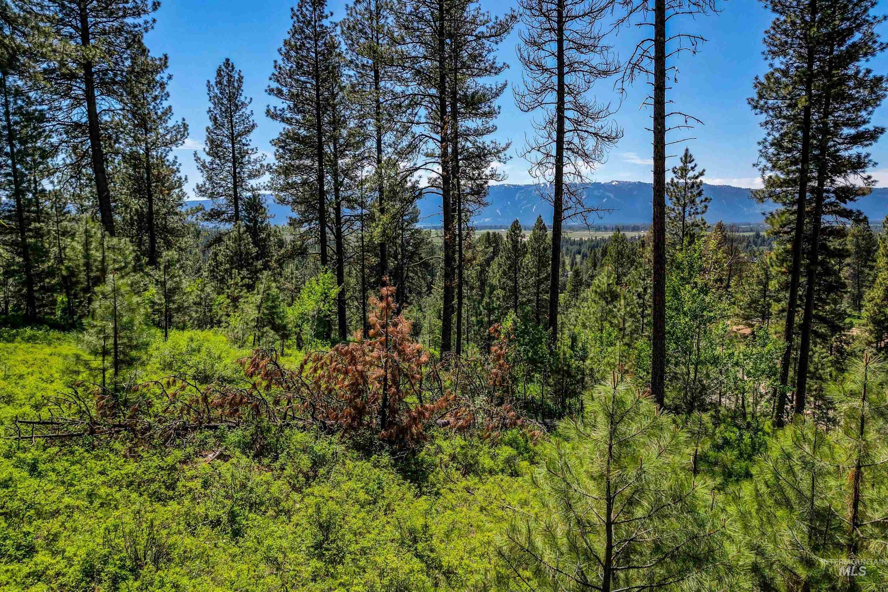 Lot 3 Hideout Road Property Photo 2