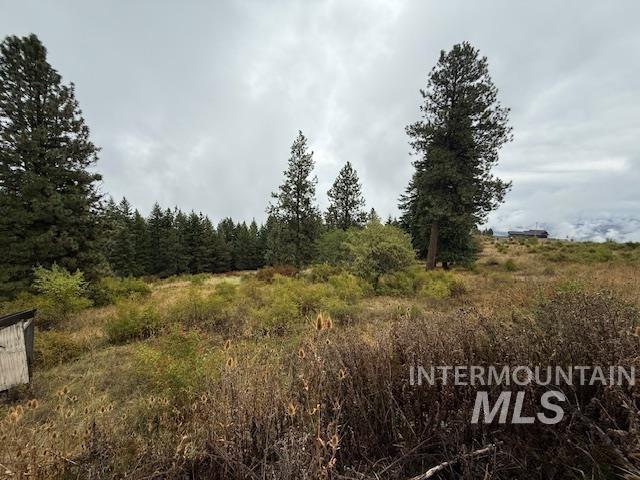 207 Mule Deer Drive Property Photo 5