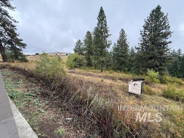 207 Mule Deer Drive Property Photo 6