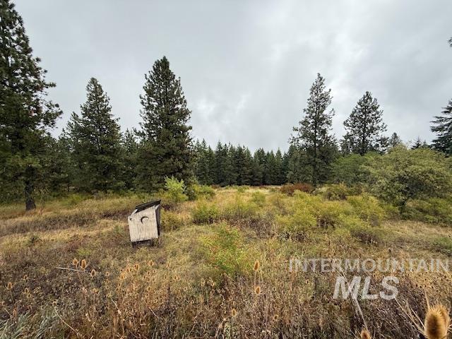207 Mule Deer Drive Property Photo 7