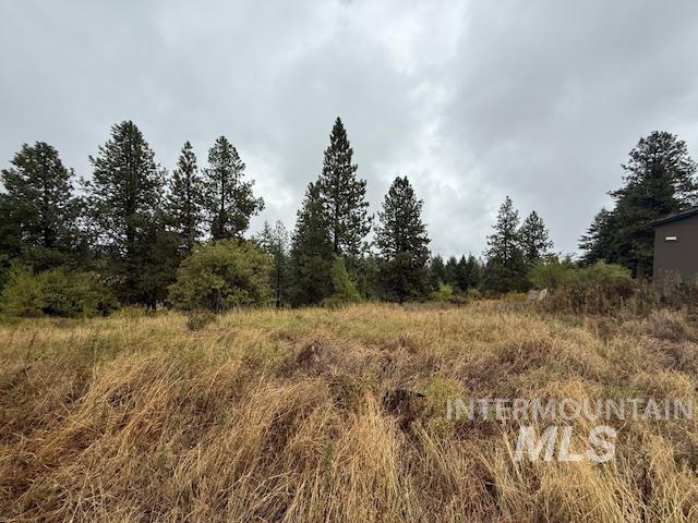 207 Mule Deer Drive Property Photo 10