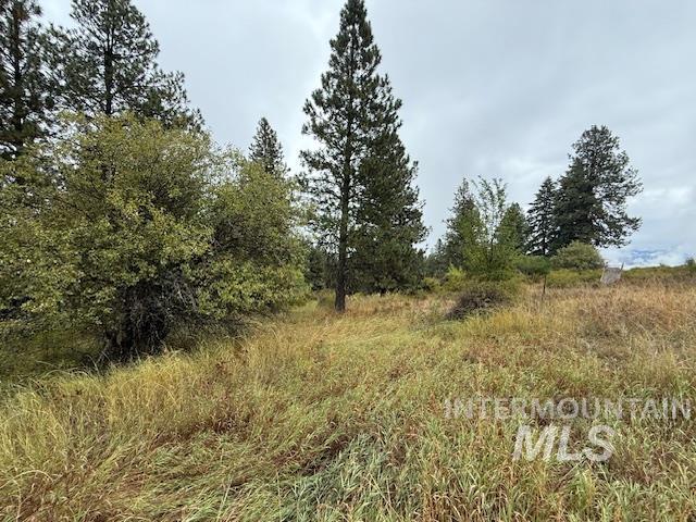 207 Mule Deer Drive Property Photo 12