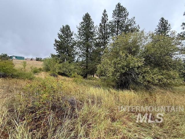 207 Mule Deer Drive Property Photo 13