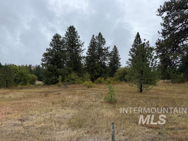 207 Mule Deer Drive Property Photo 14
