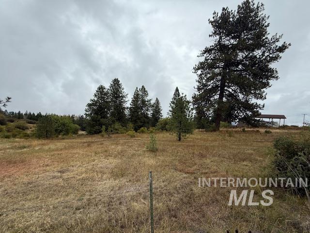 207 Mule Deer Drive Property Photo 15