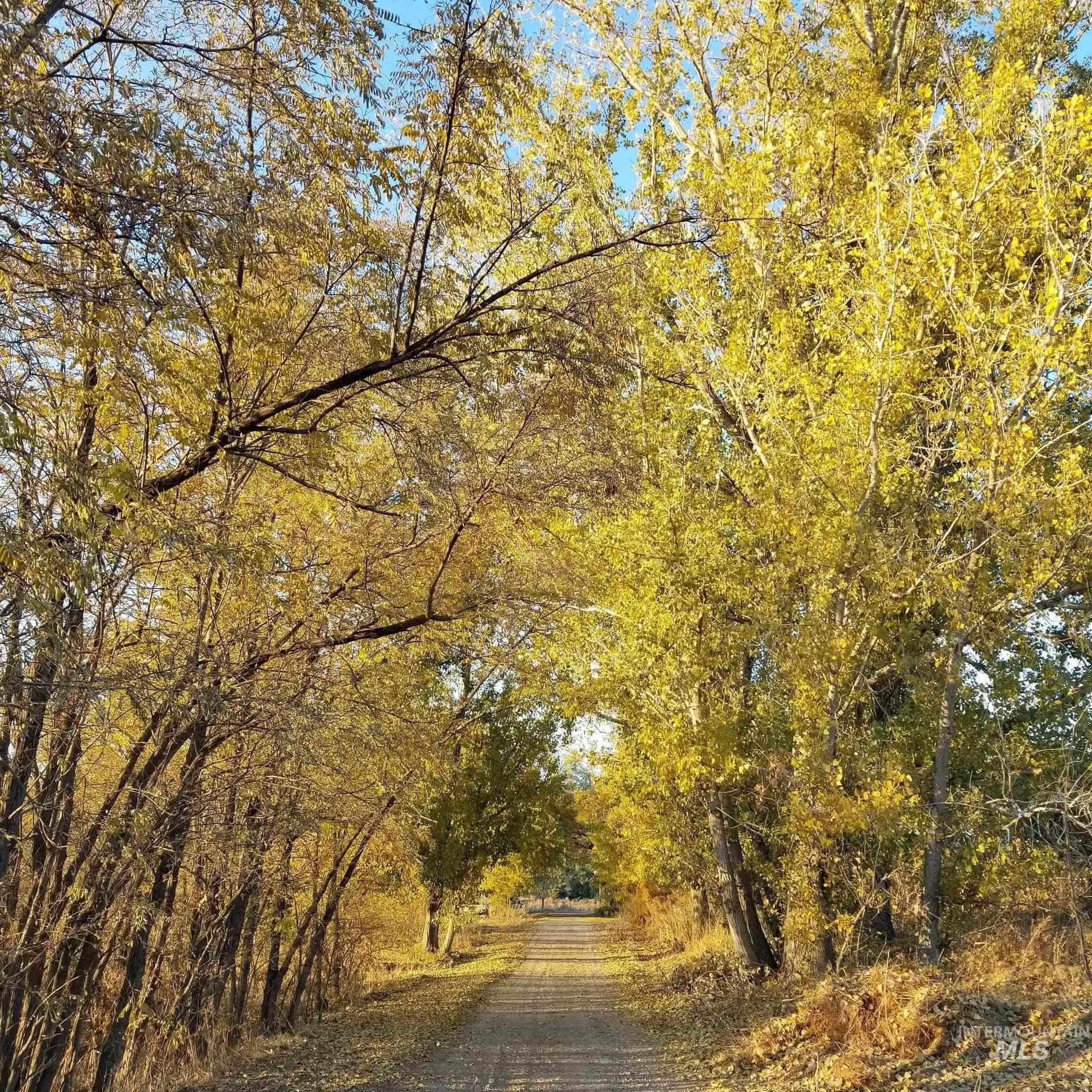 3614 Amity Ave Property Photo 34