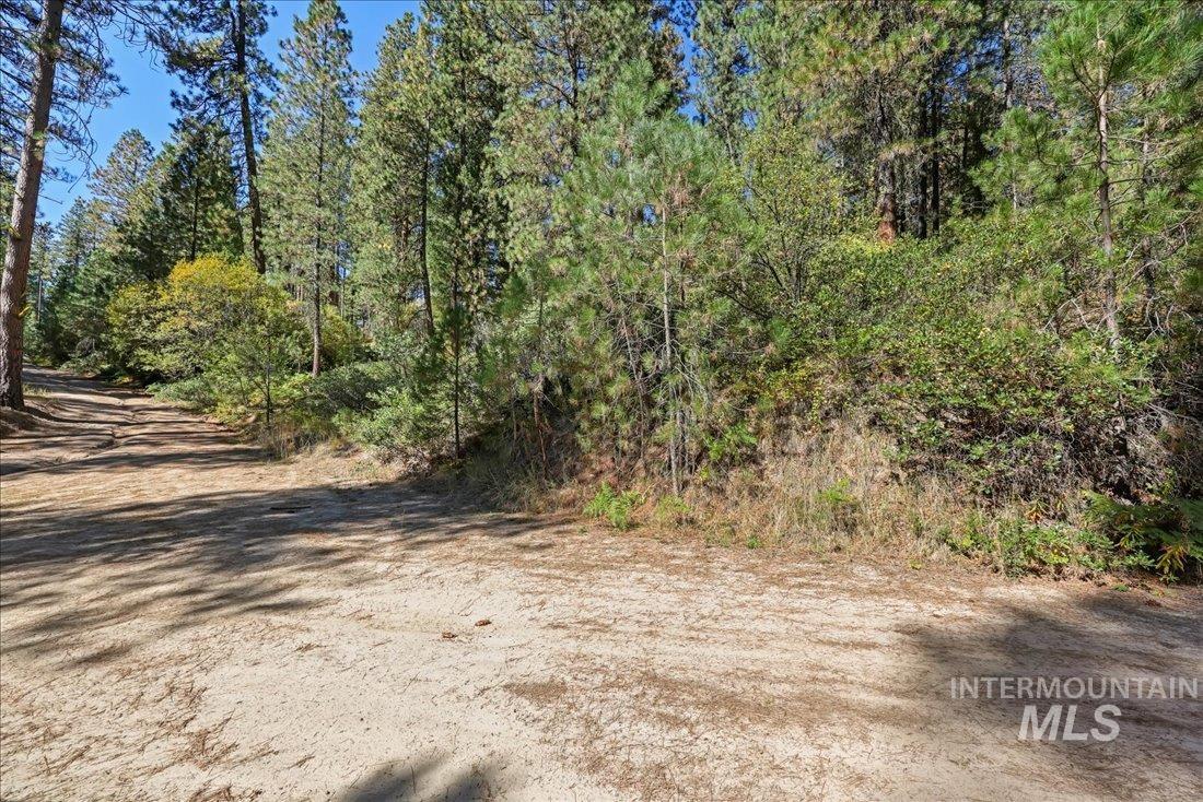 Tbd Kellly Gulch Rd Property Photo 9