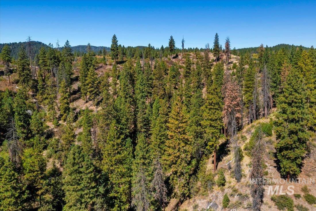 Tbd Kellly Gulch Rd Property Photo 11